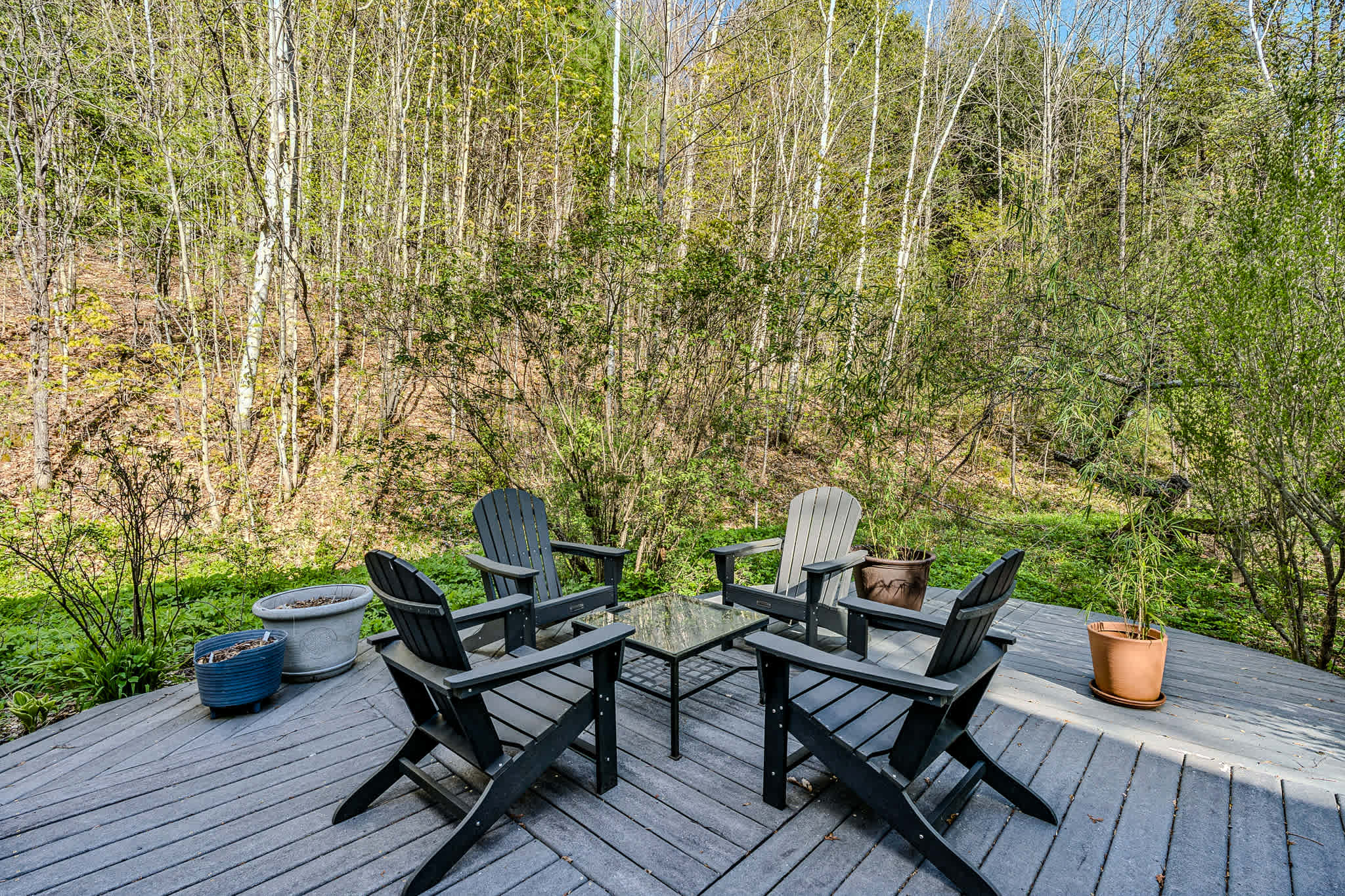 Beautiful Woodstock Home with Fire Pit, Grill, and Mountain Charm