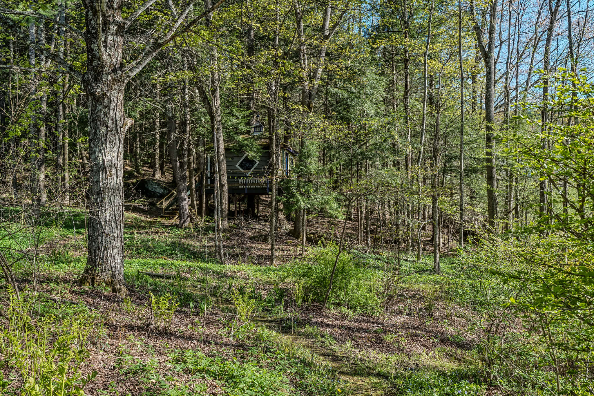 Beautiful Woodstock Home with Fire Pit, Grill, and Mountain Charm
