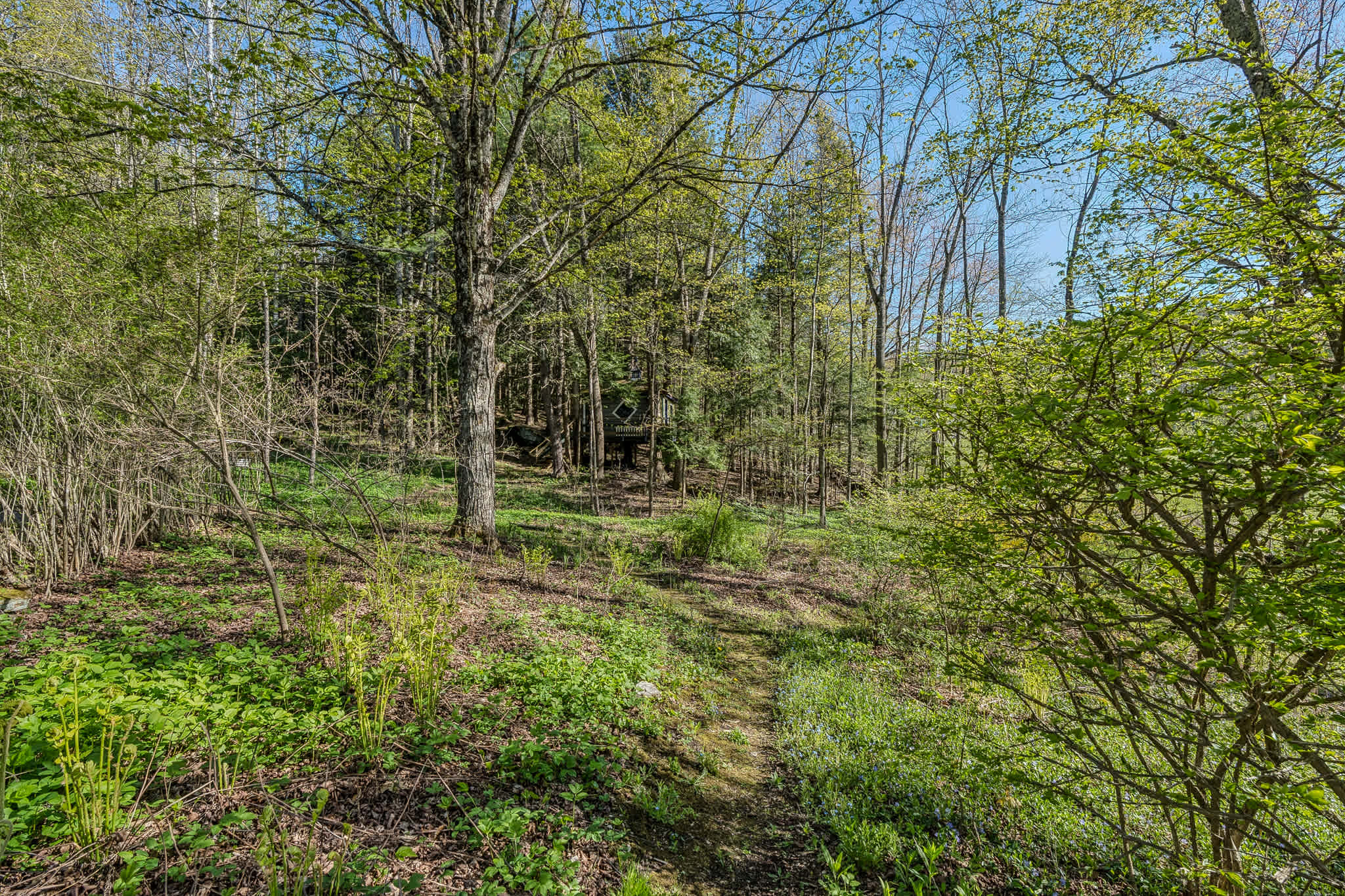 Beautiful Woodstock Home with Fire Pit, Grill, and Mountain Charm