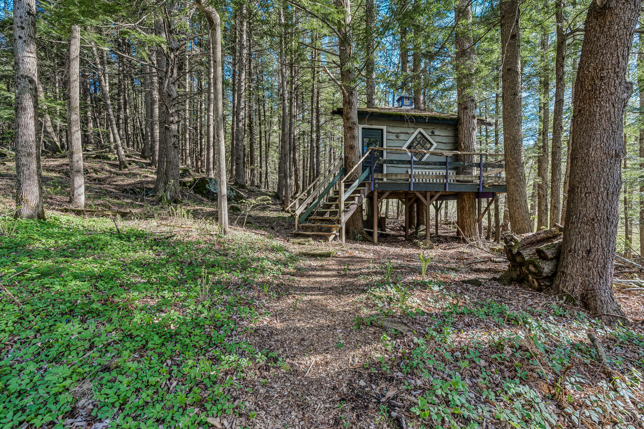 Beautiful Woodstock Home with Fire Pit, Grill, and Mountain Charm