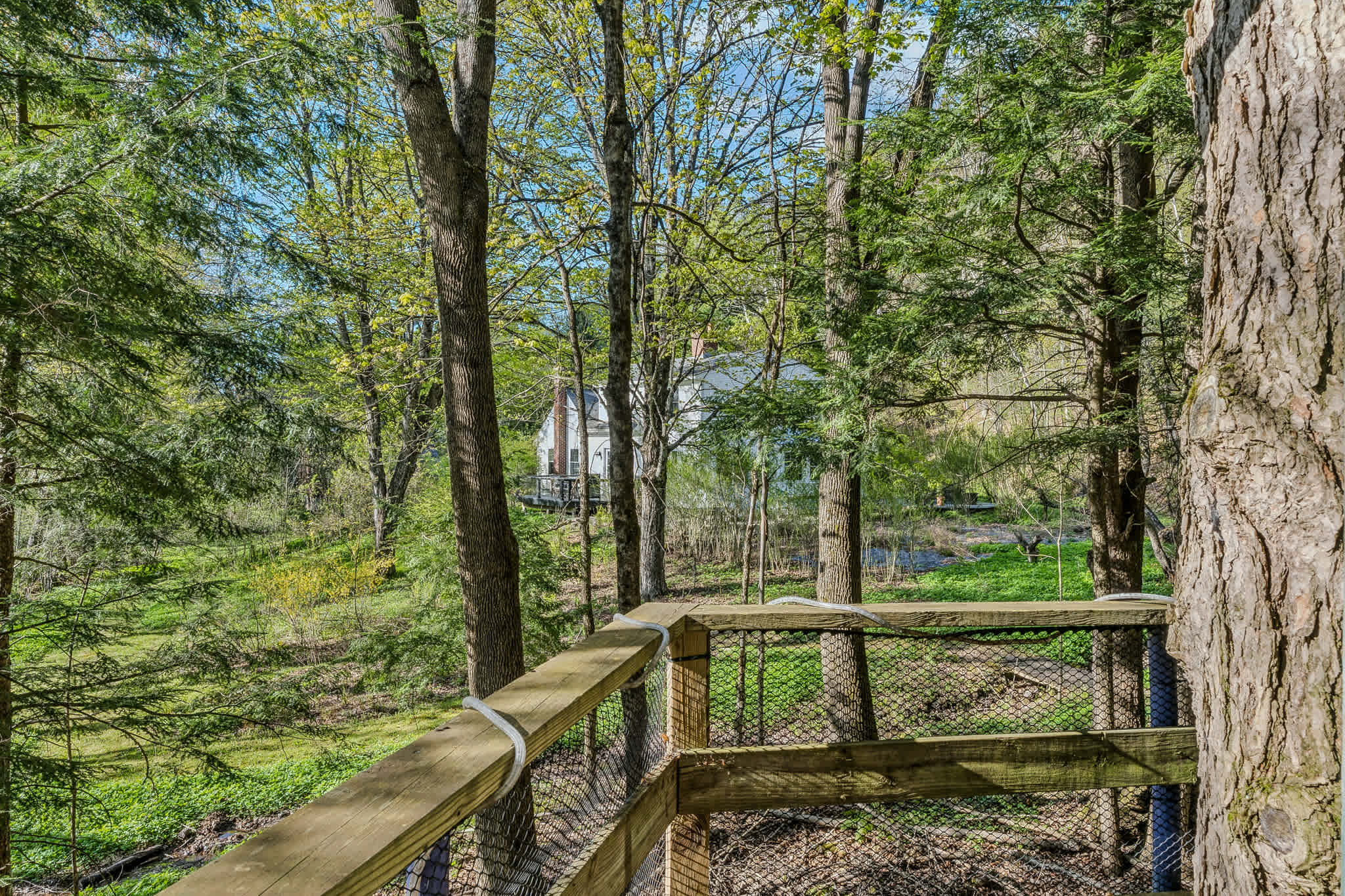 Beautiful Woodstock Home with Fire Pit, Grill, and Mountain Charm
