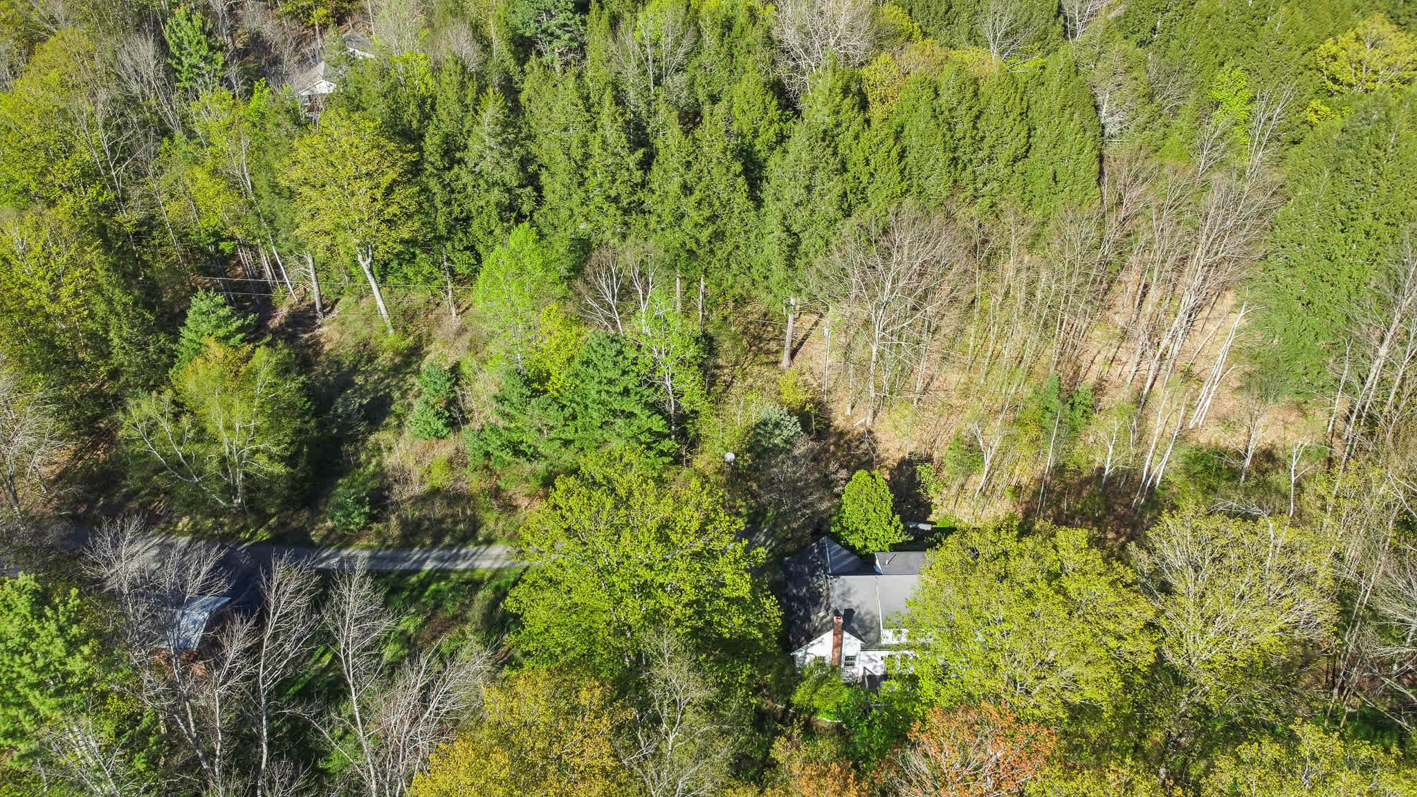 Beautiful Woodstock Home with Fire Pit, Grill, and Mountain Charm