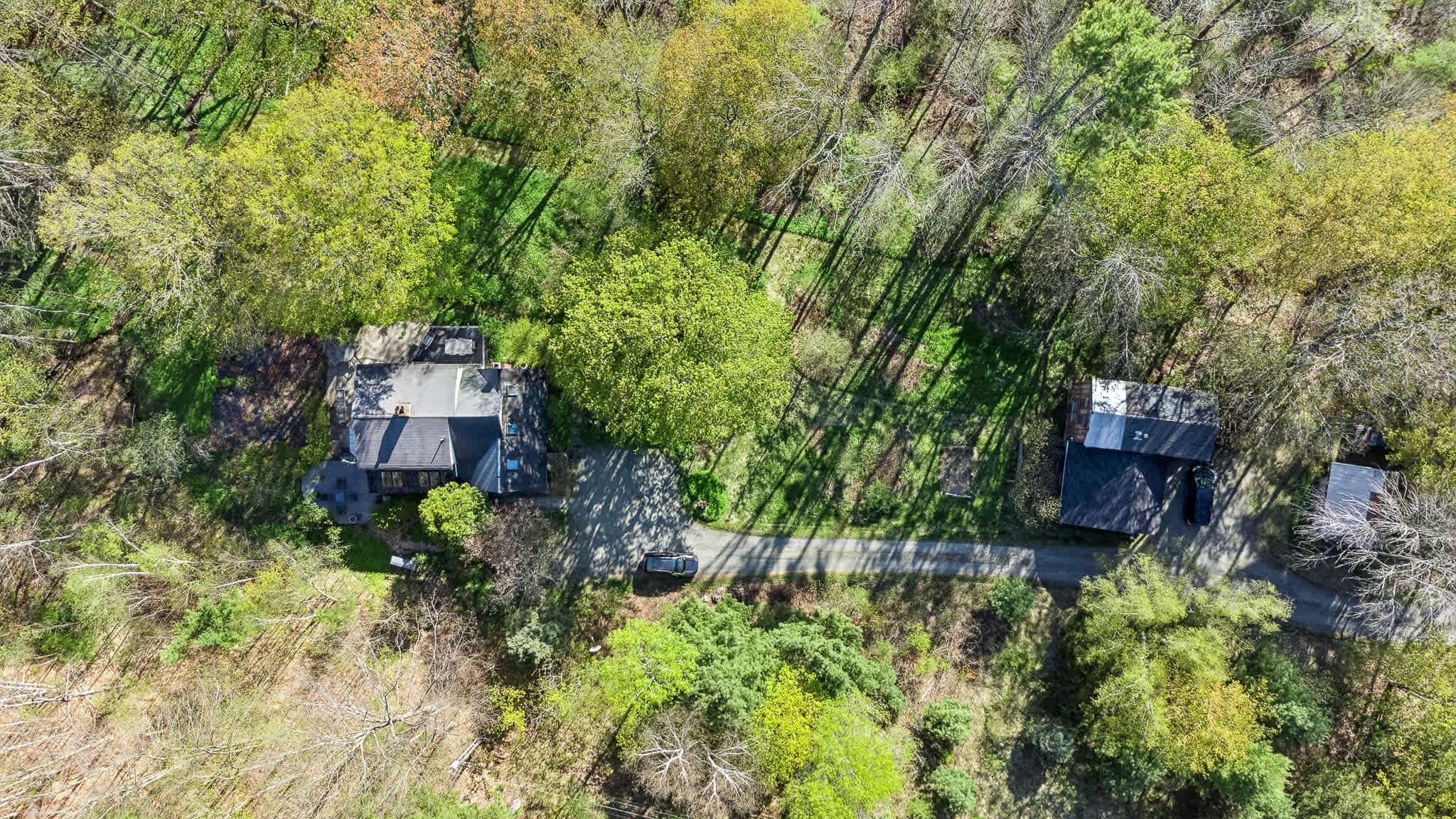 Beautiful Woodstock Home with Fire Pit, Grill, and Mountain Charm