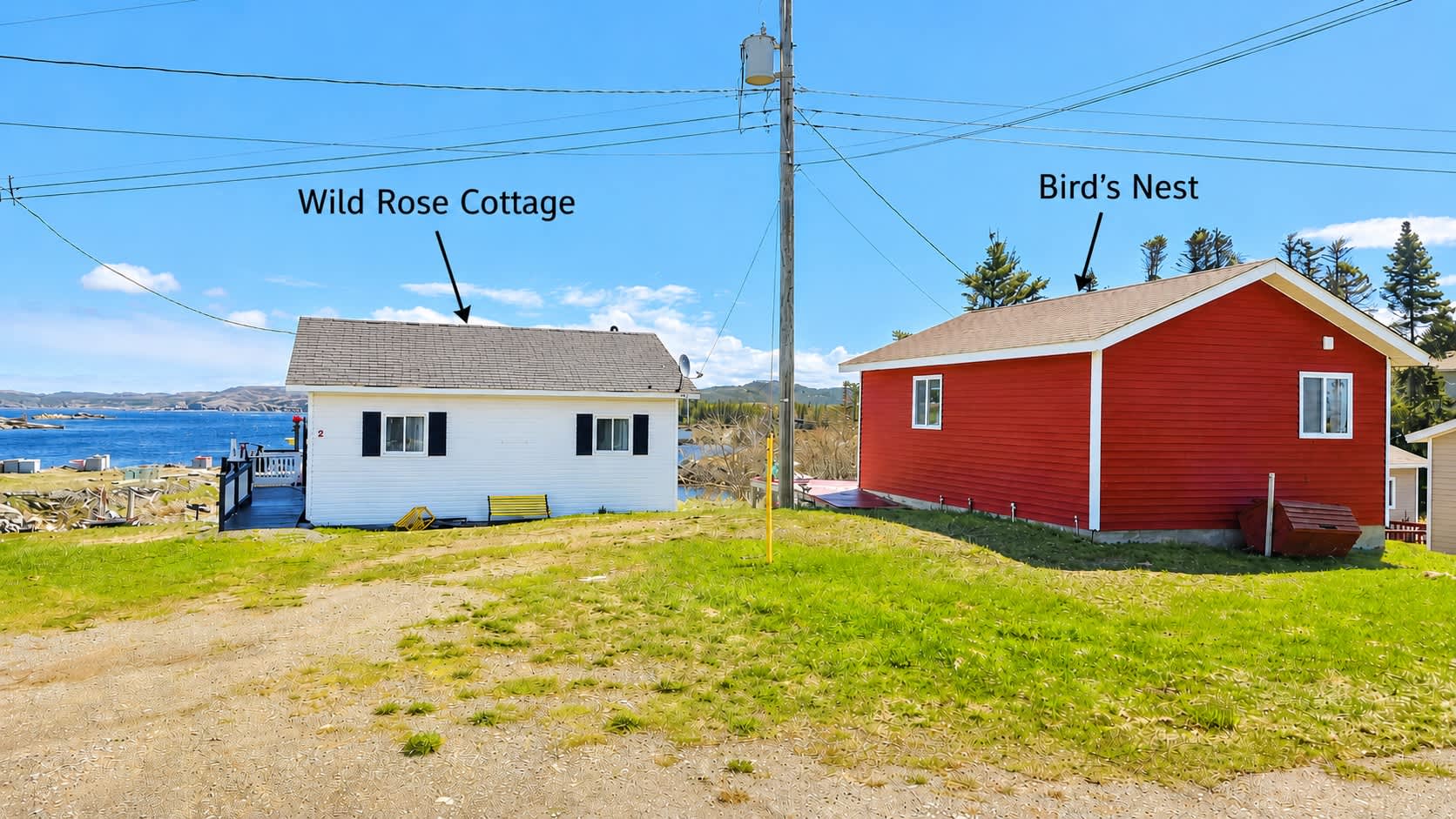 The Wild Rose Cottage & Bird's Nest