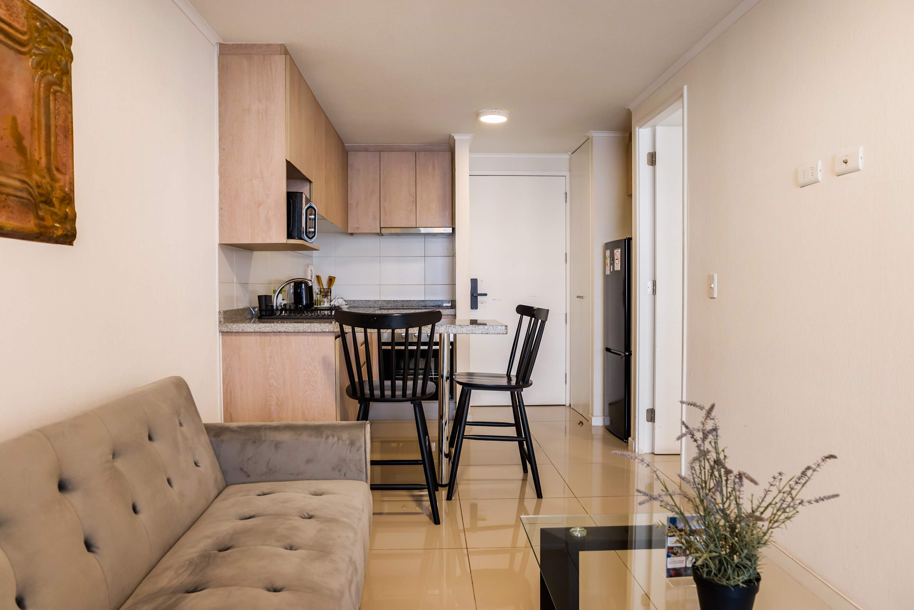 Santiago: 1BR Apartment with Balcony and Views