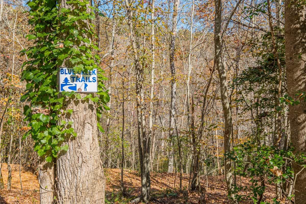 CREEKSIDE COTTAGE |PET FRIENDLY & HOT TUB
