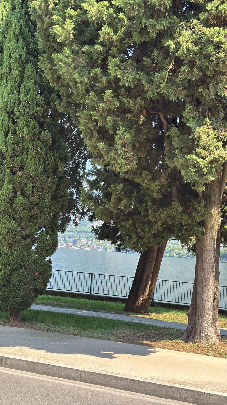 View 8
