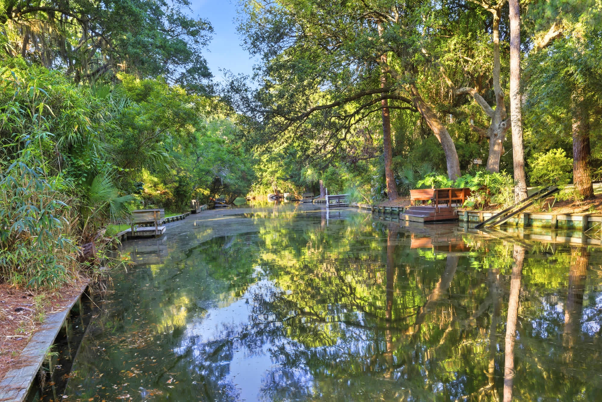 A sweeping lagoon panorama with docks, overhanging trees, and mirror-still water creates one of the most serene and memorable views of the entire property.