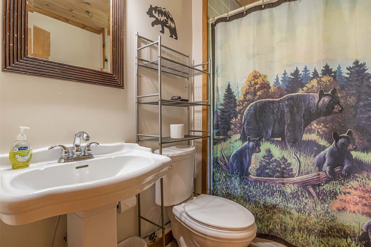 DELUXE FAMILY CABIN | HOT TUB | GAME ROOM |