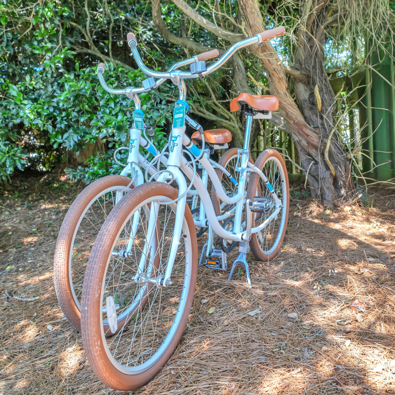 Two adult bikes included in your stay