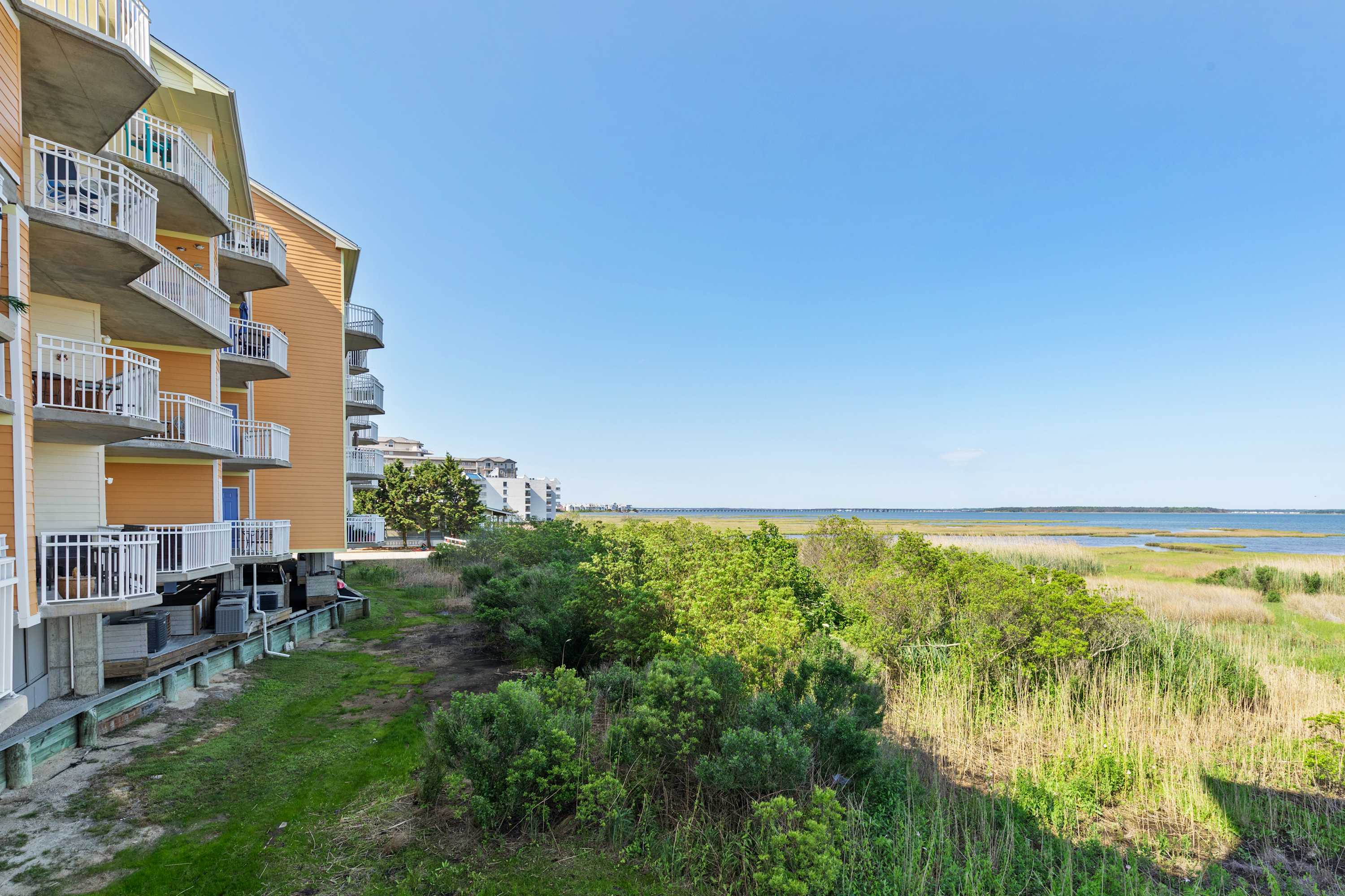 Playa Flamingo 109, Pet Friendly