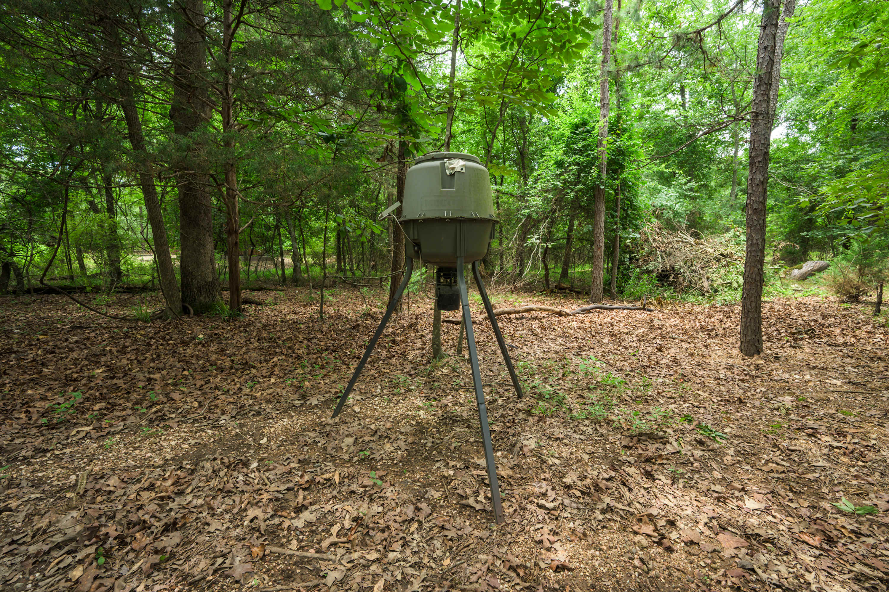 New! Walk to Safari Park! Hot Tub-Playset-Firepit!
