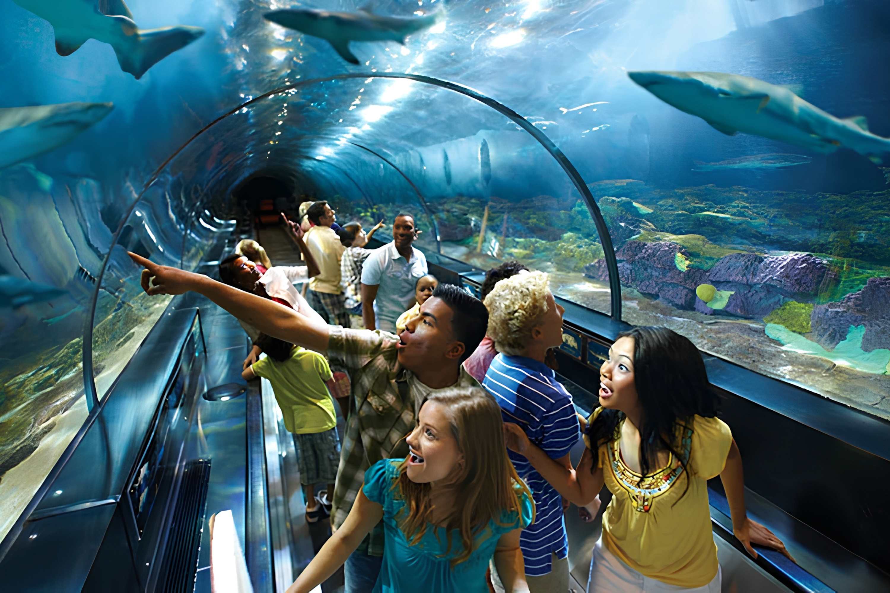SeaWorld Orlando