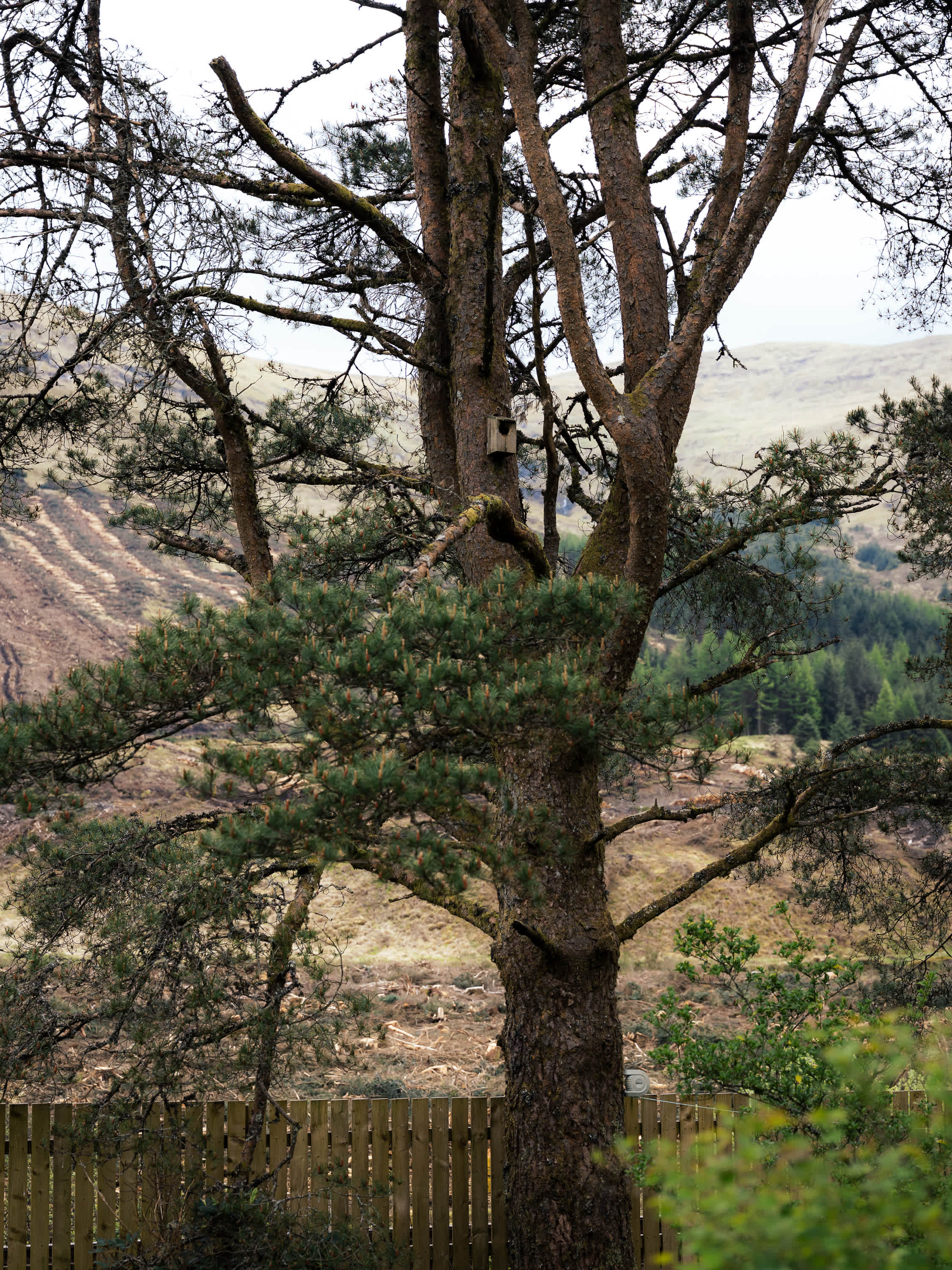 The Ultimate Highland Escape - a gateway to Glencoe in Glen Lochy, Old Military Road FK20 8SB - Property image 21 - VivreStays