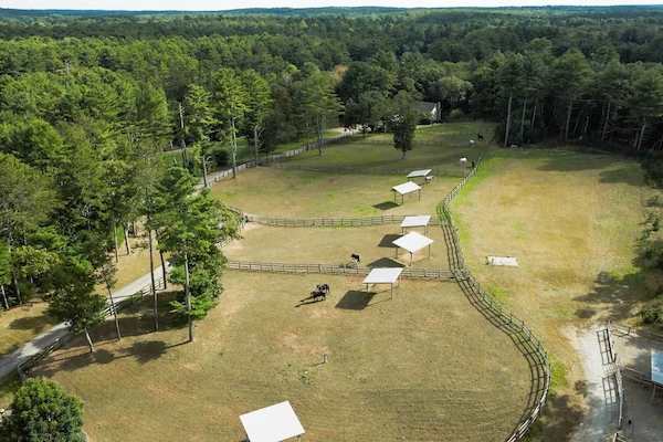 Equestrian Center Home