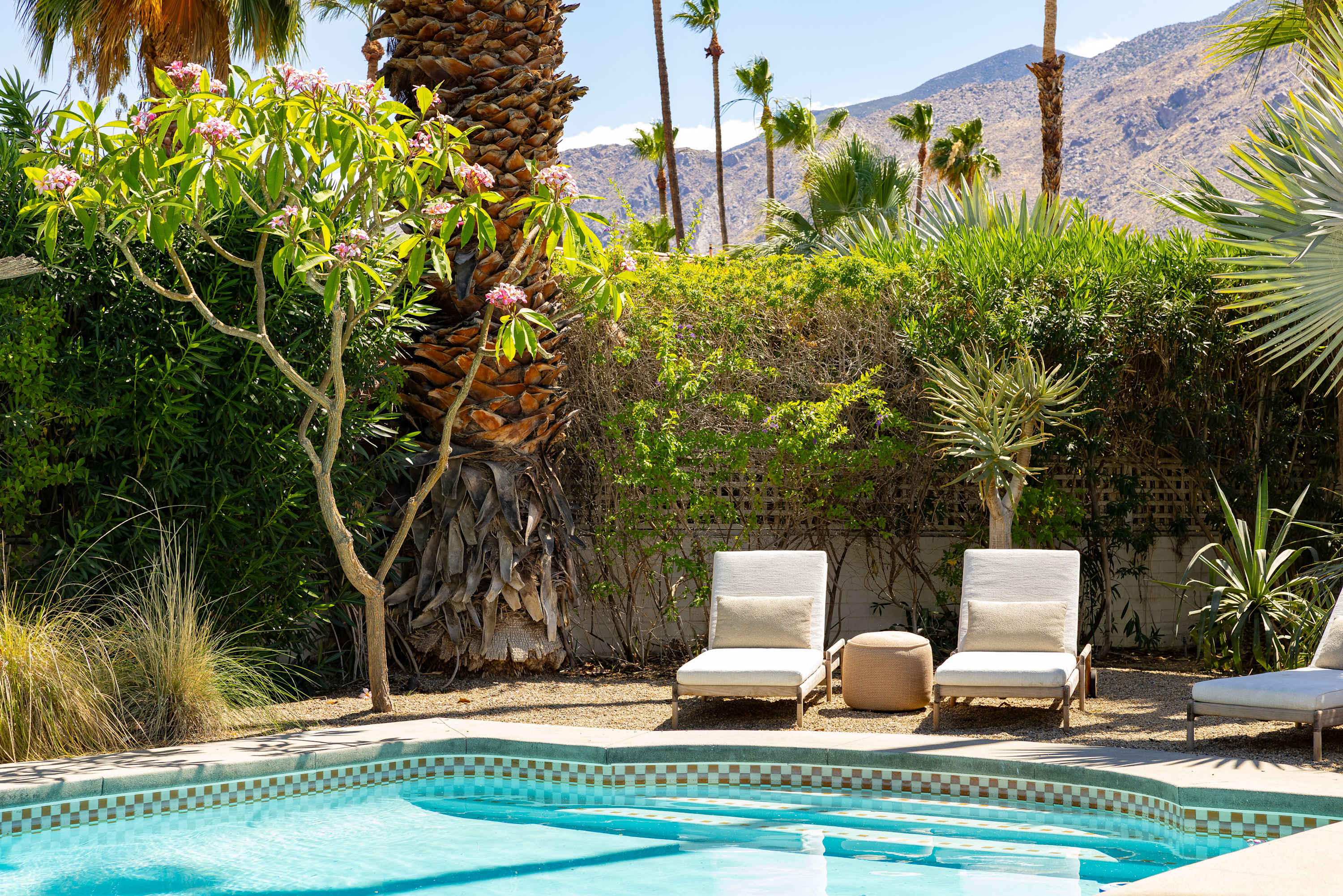 Pool | San Simian in Palm Springs, California by Luxus Vacation Properties