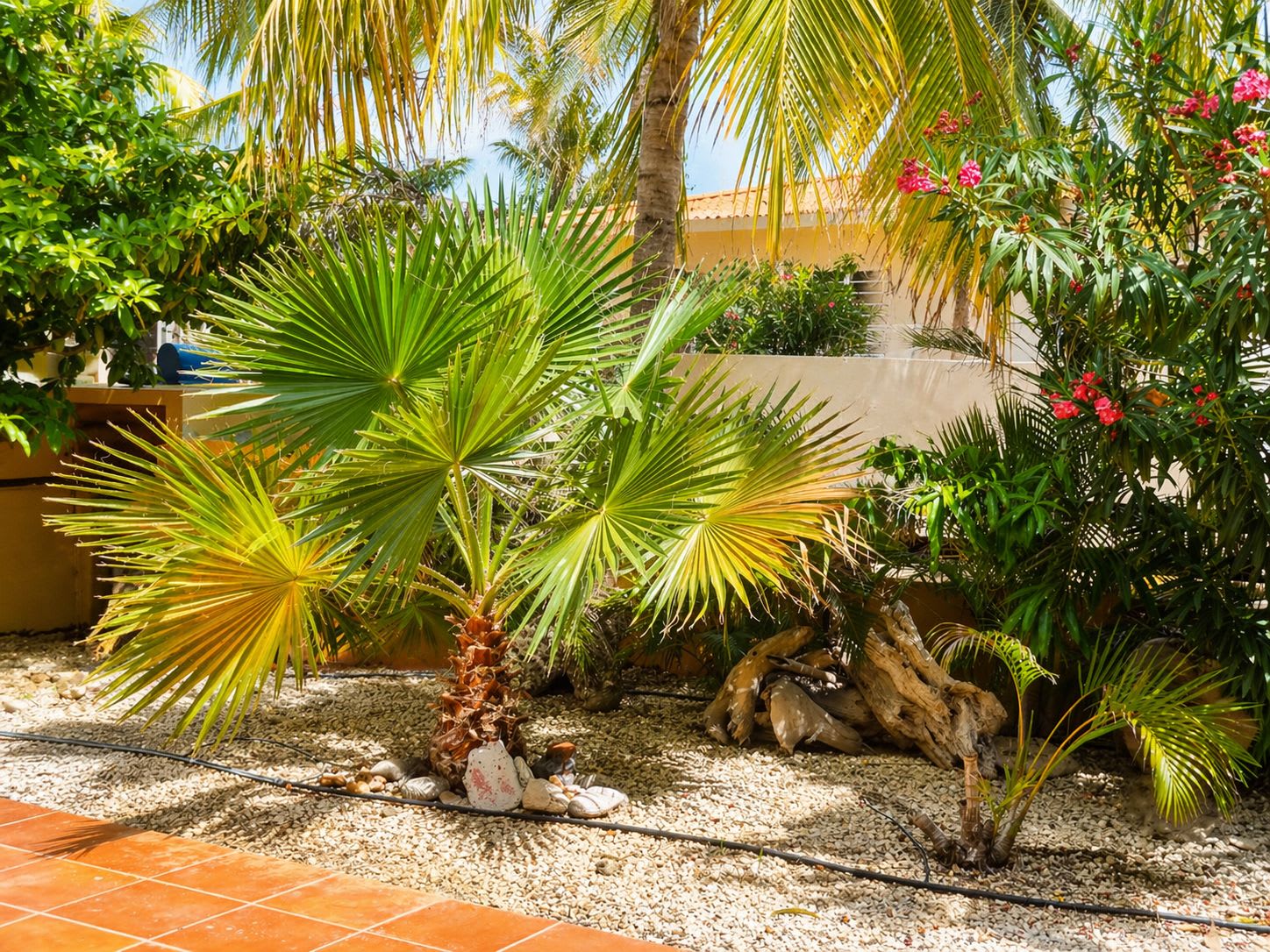 30 Makambaplein, Kralendijk, Caribbean Netherlands