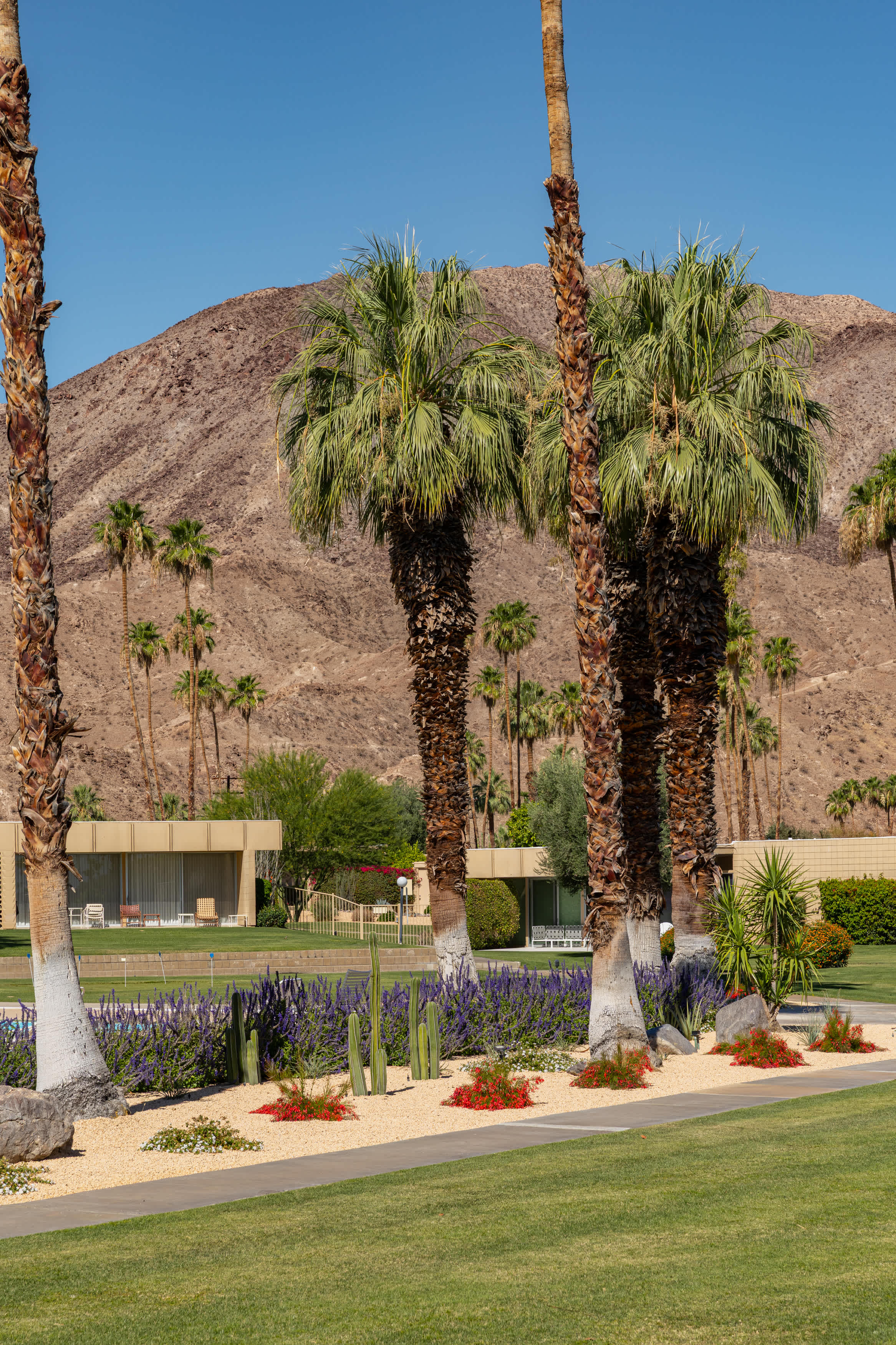 Community Pool | Sandpiper Empress in Palm Desert, California by Luxus Vacation Properties
