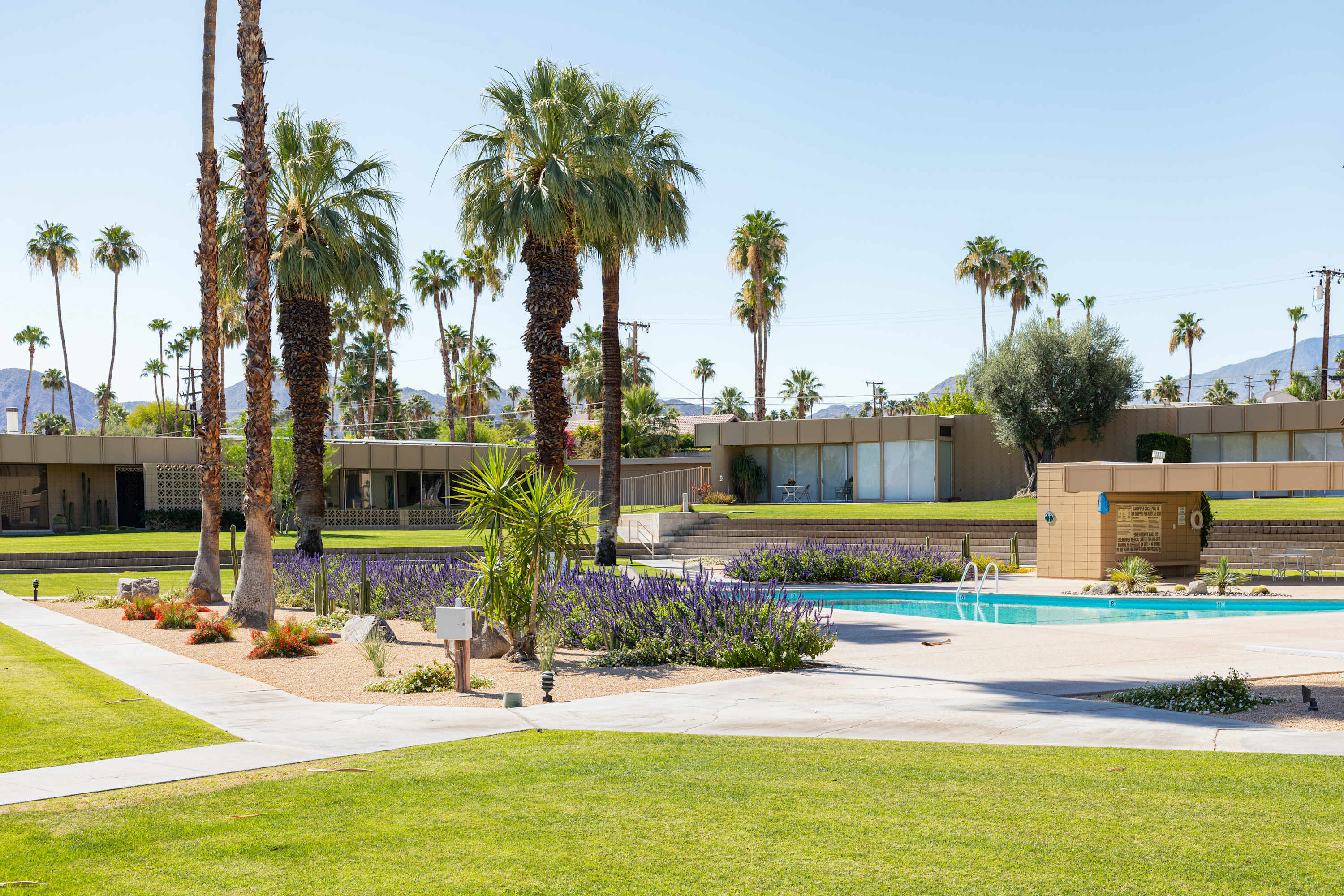 Community Pool | Sandpiper Empress in Palm Desert, California by Luxus Vacation Properties