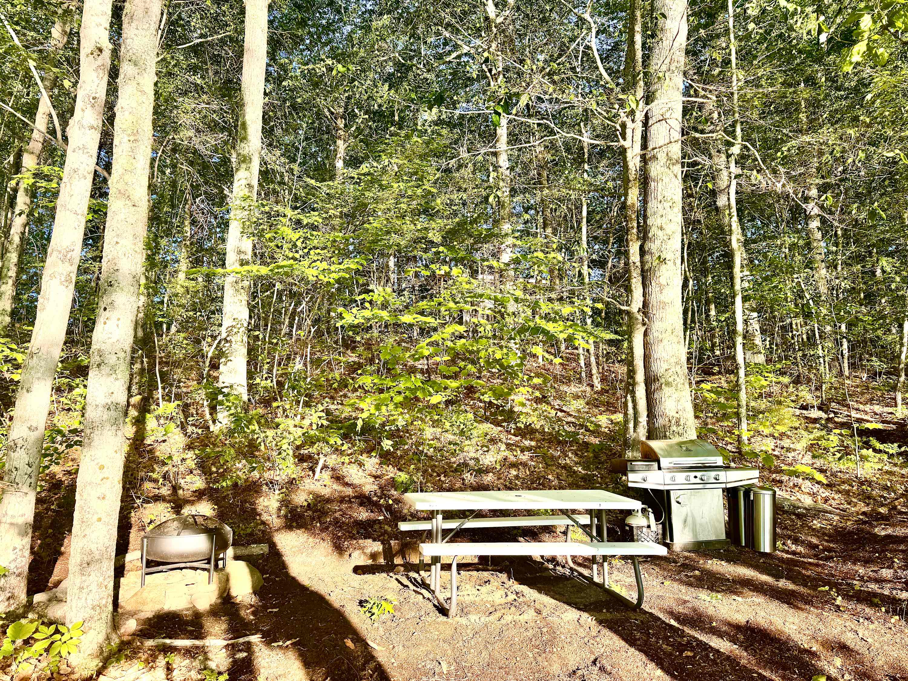 Your outdoor kitchen and campsite.