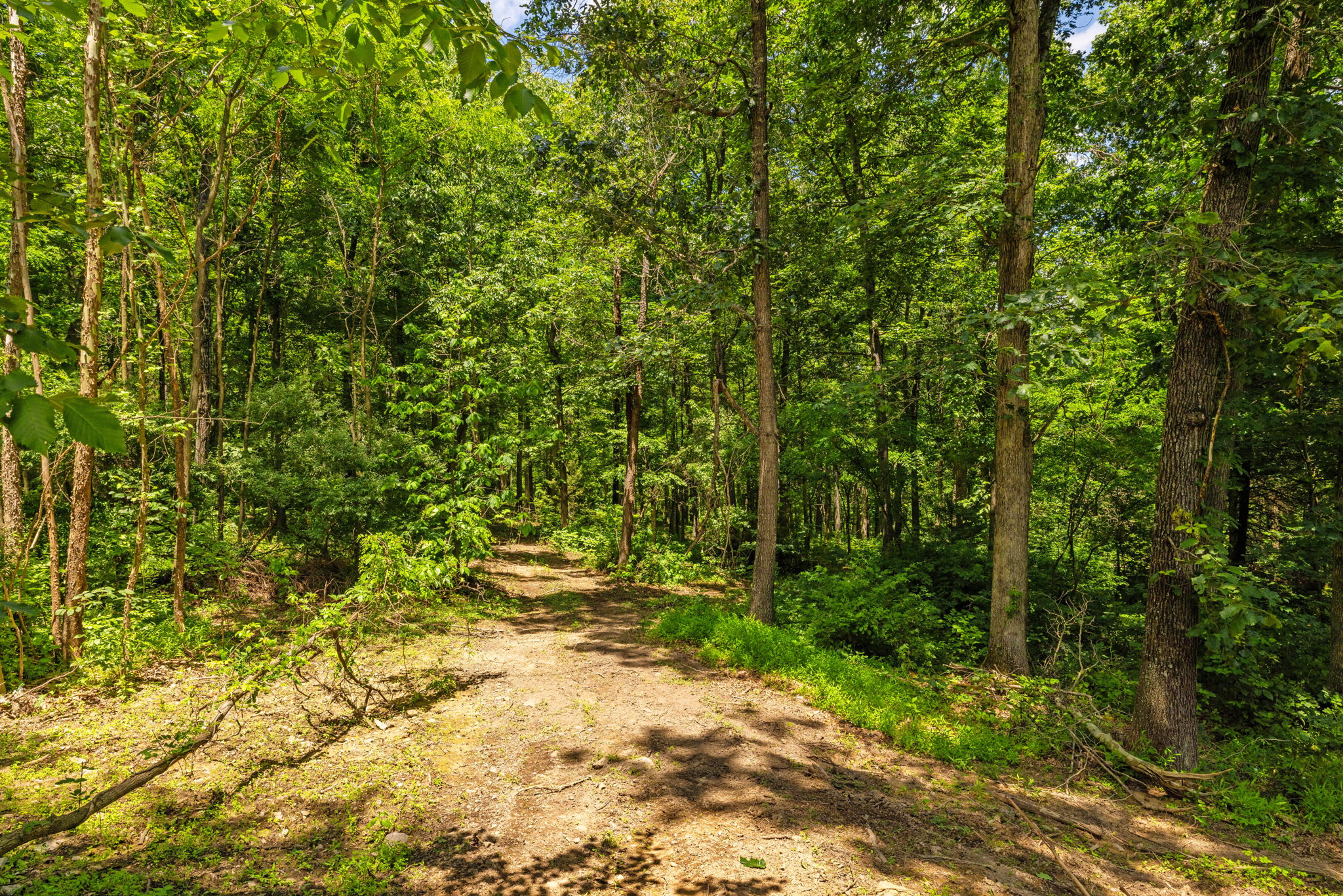 Hot Tub, Private Trails, Waterfall & Outdoor Fun