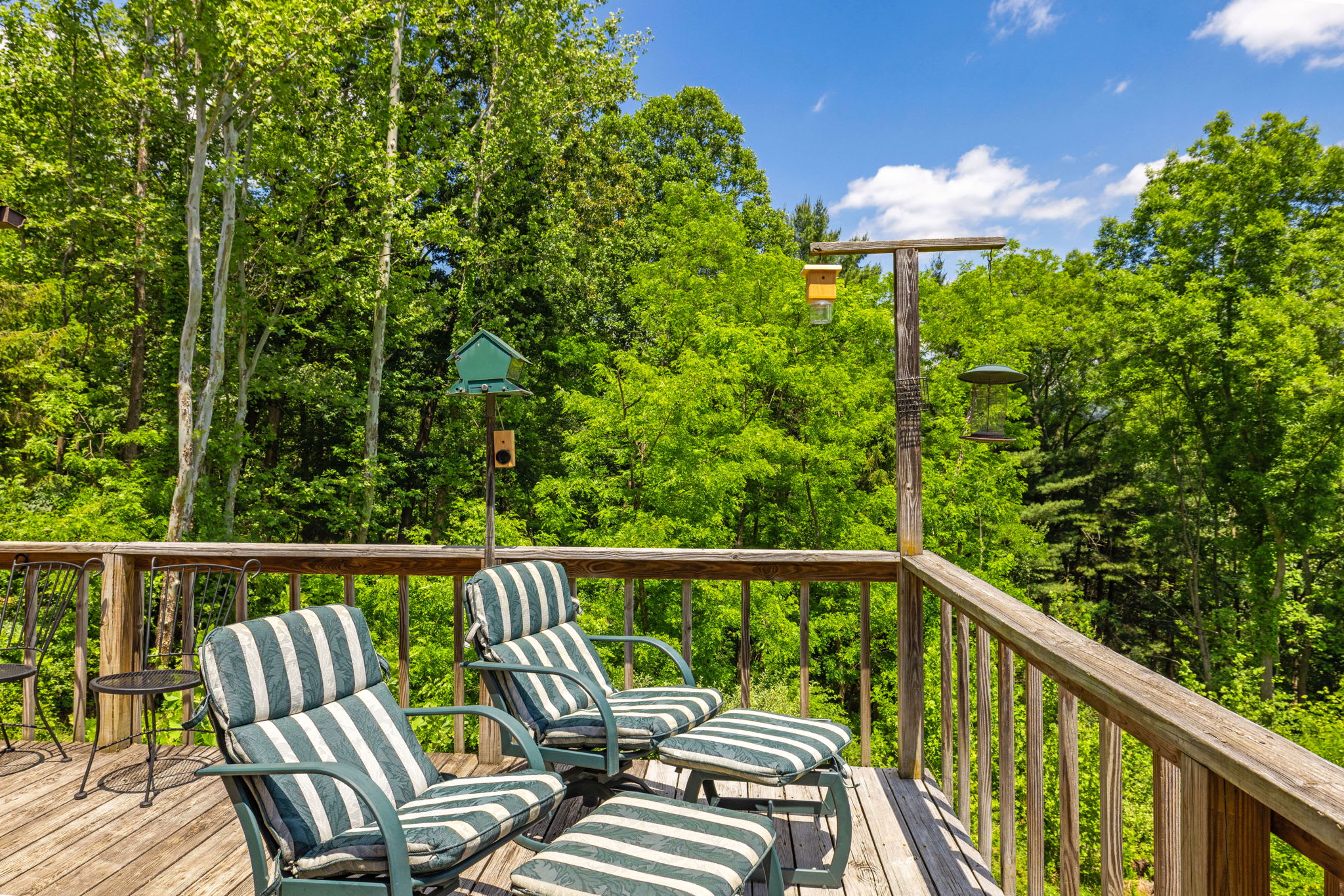 Hot Tub, Private Trails, Waterfall & Outdoor Fun