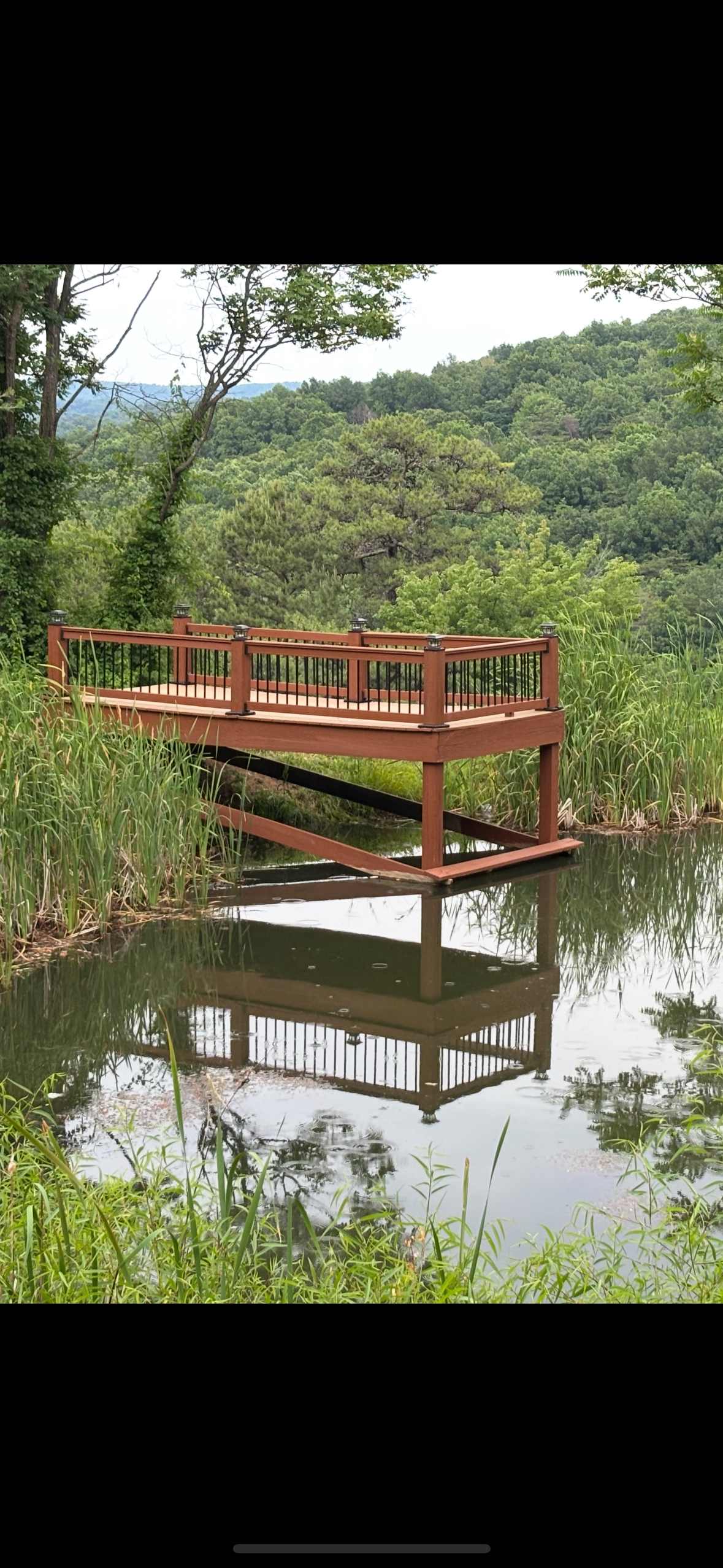 Fishing pier at the pond