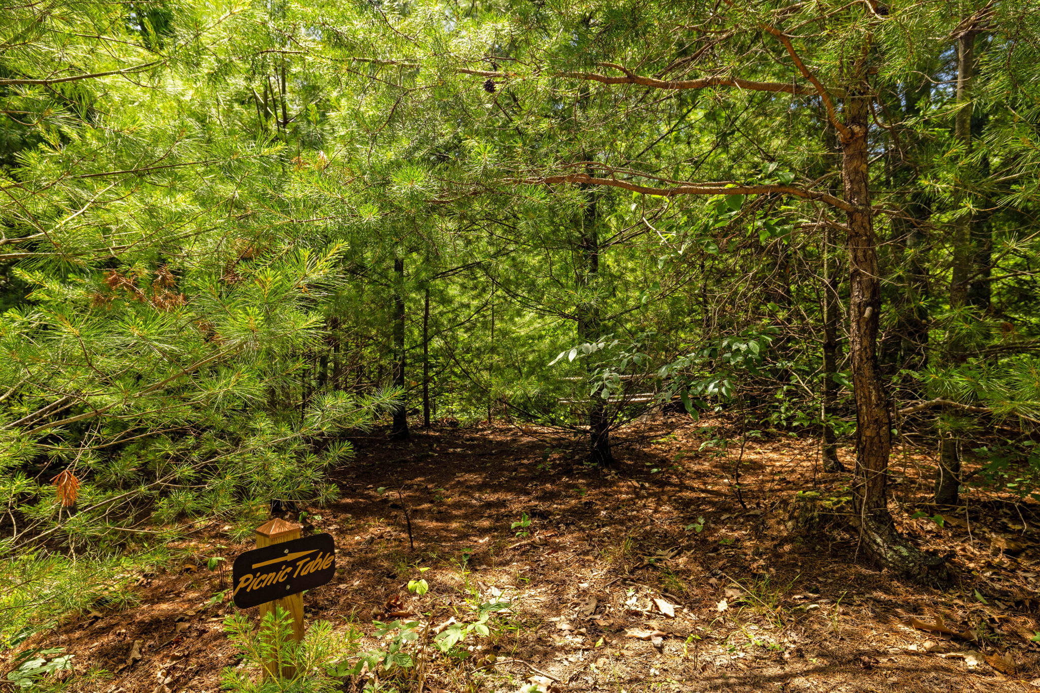 2 Mountain Retreats w 16 Bedrooms, Hot Tubs & More