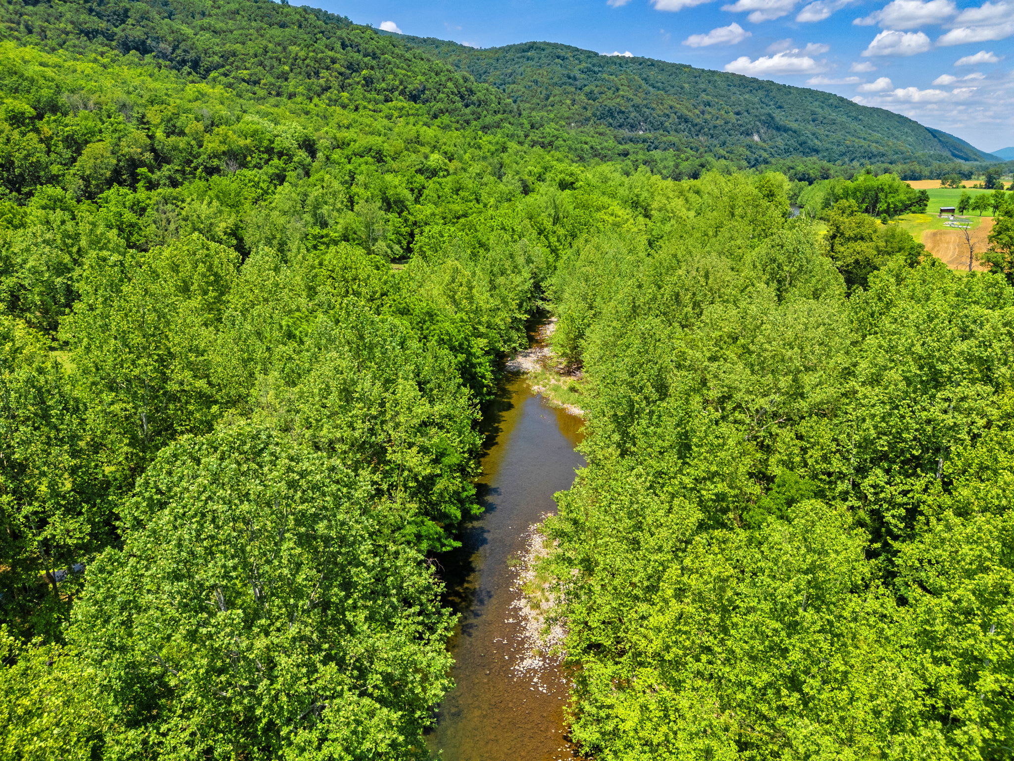 2 Mountain Retreats w 16 Bedrooms, Hot Tubs & More