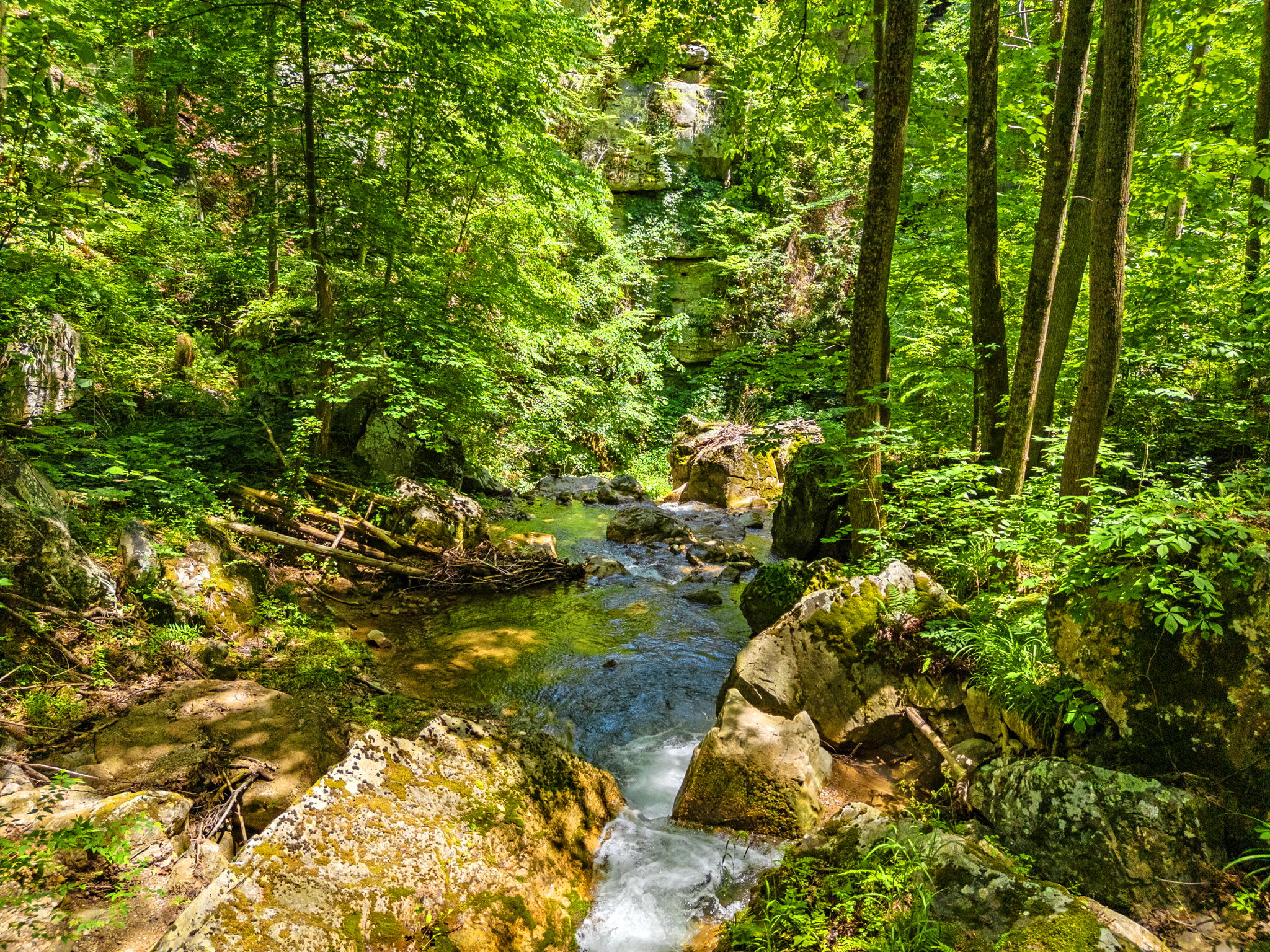 2 Mountain Retreats w 16 Bedrooms, Hot Tubs & More
