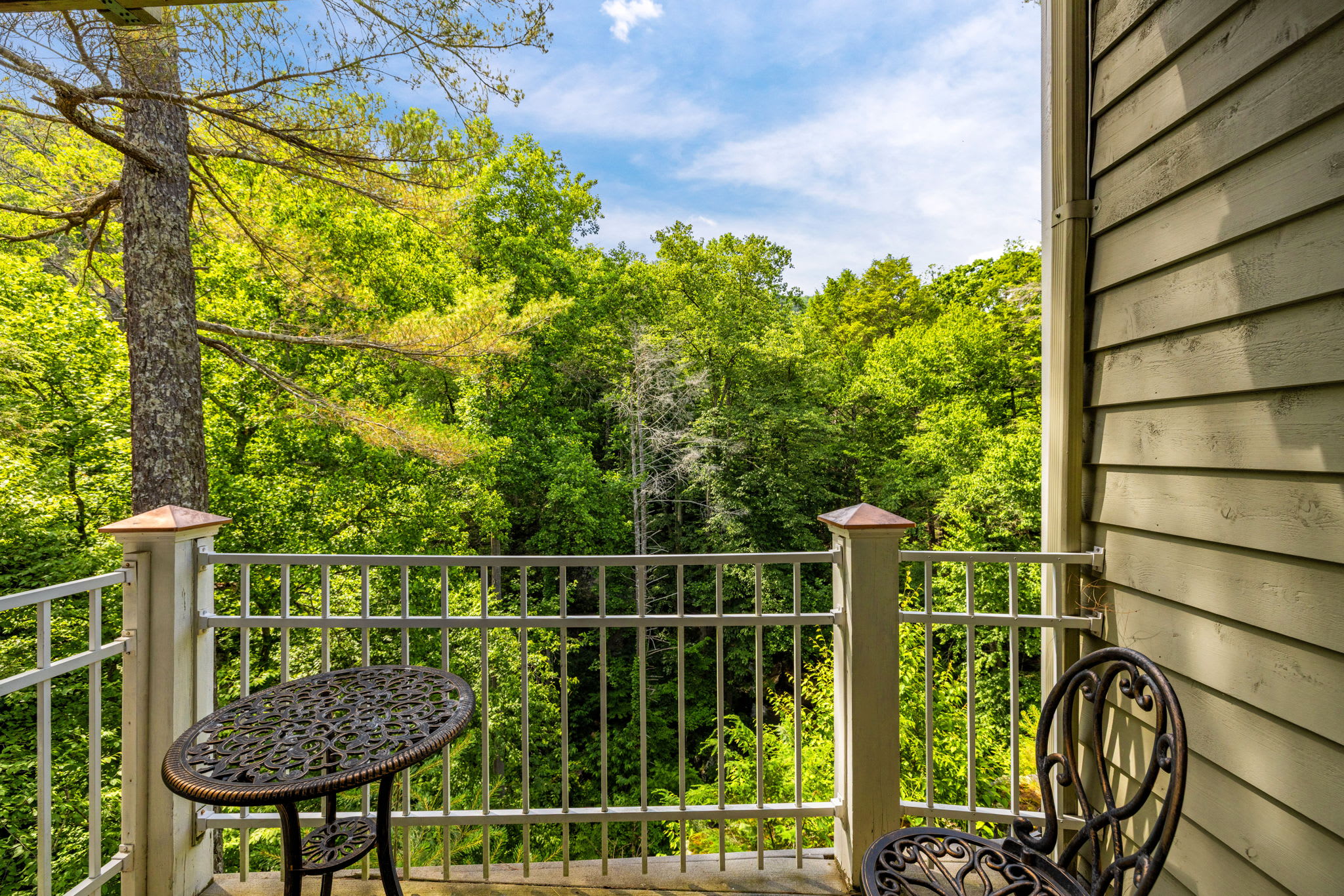 Secluded Retreat Endless Mtn Views, Rushing Stream