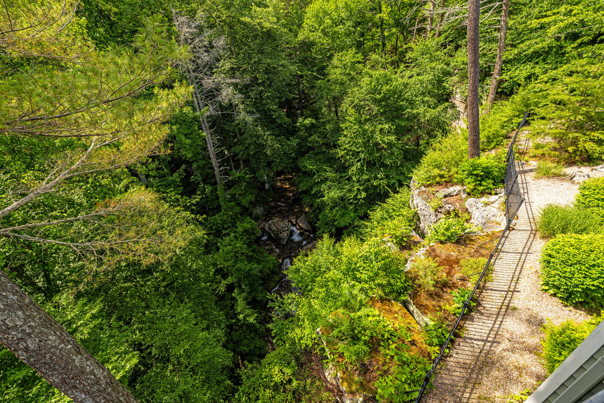 Secluded Retreat Endless Mtn Views, Rushing Stream