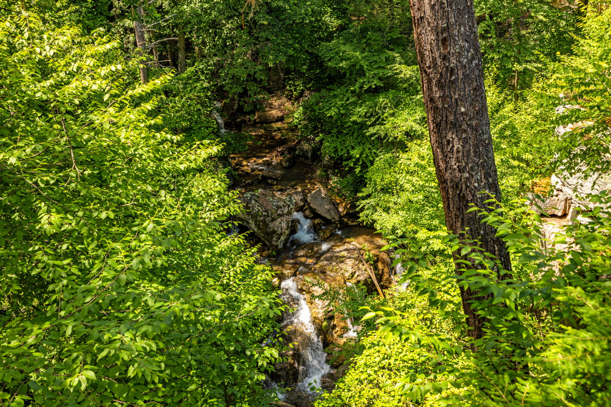 Secluded Retreat Endless Mtn Views, Rushing Stream