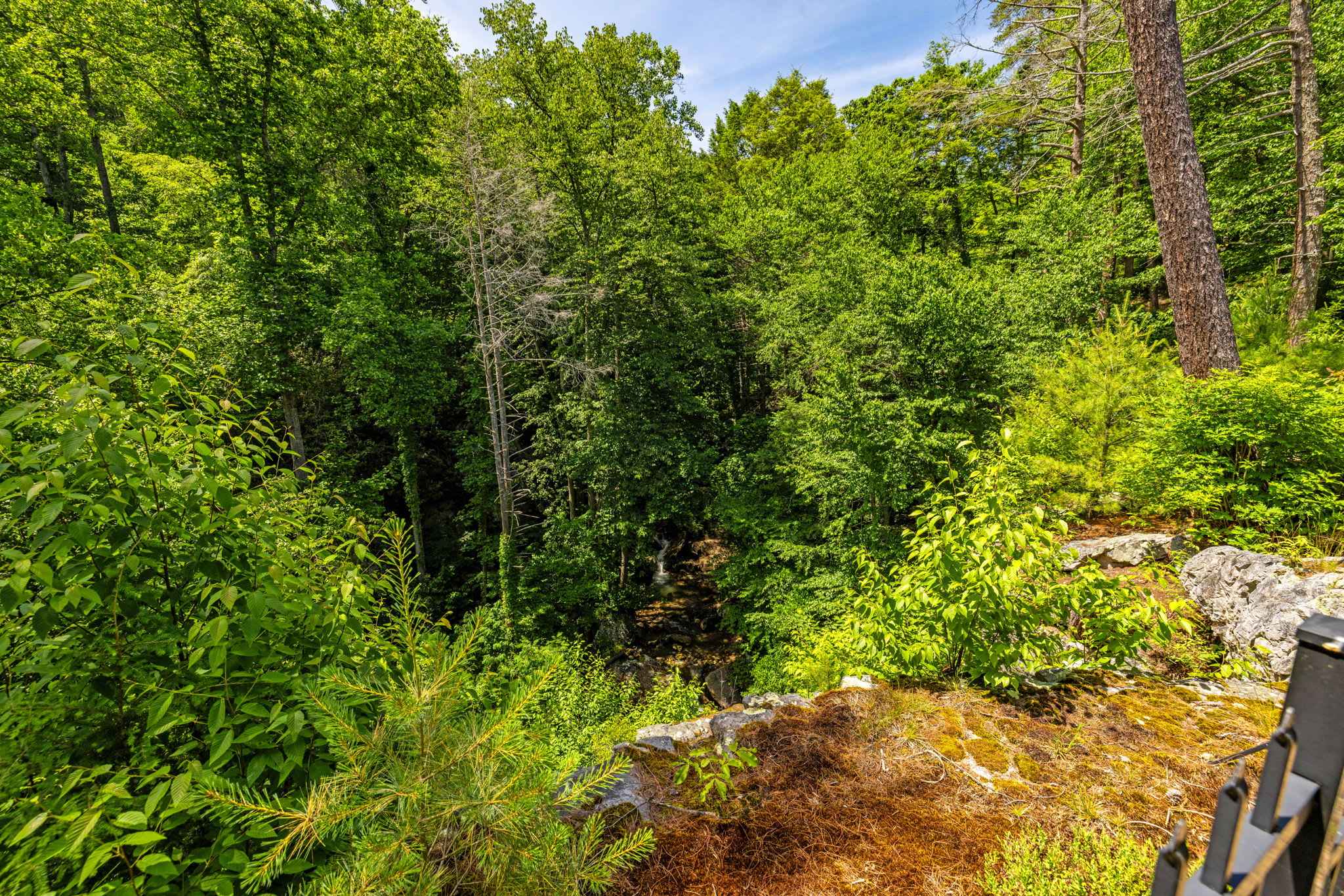 Secluded Retreat Endless Mtn Views, Rushing Stream