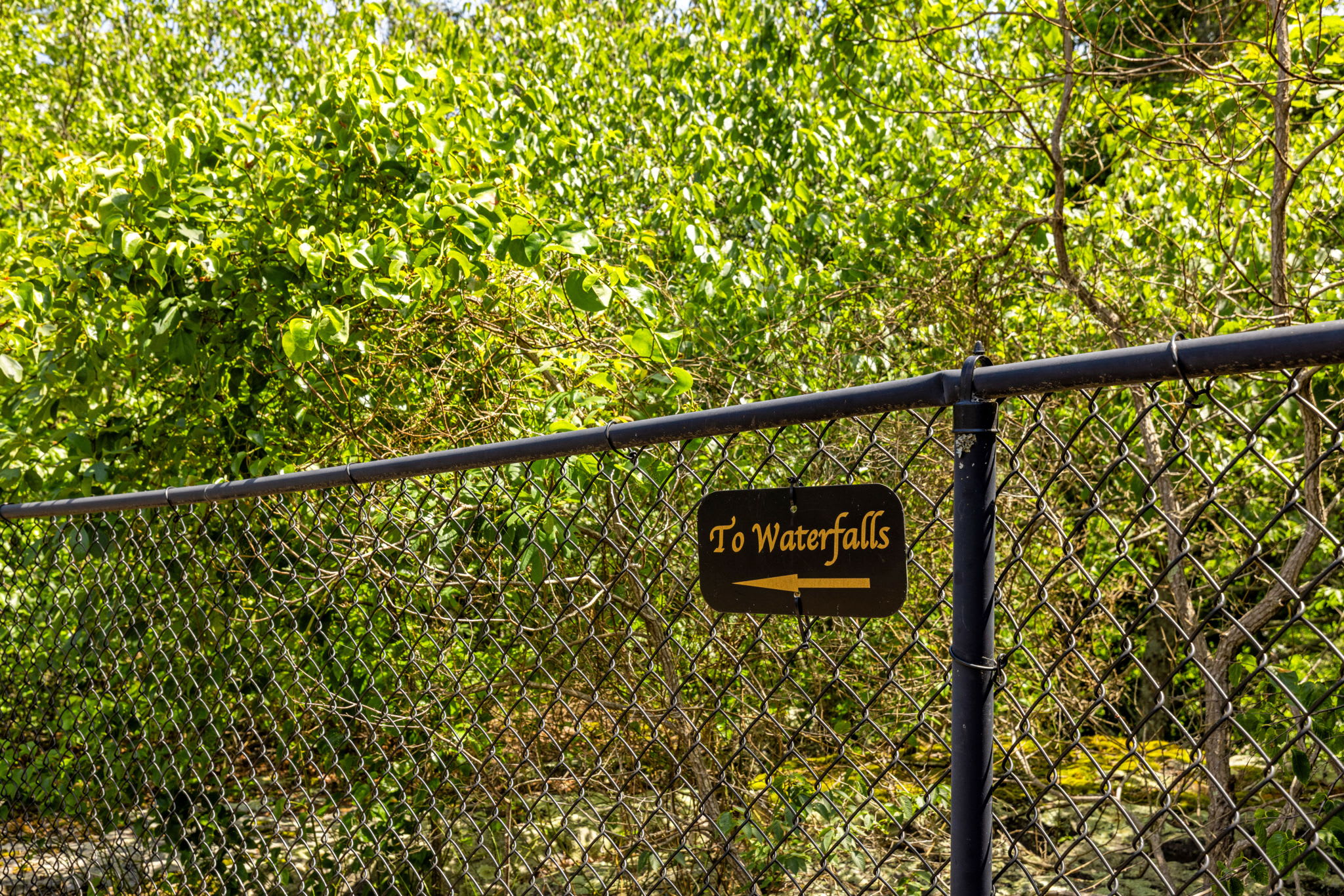 Secluded Retreat Endless Mtn Views, Rushing Stream