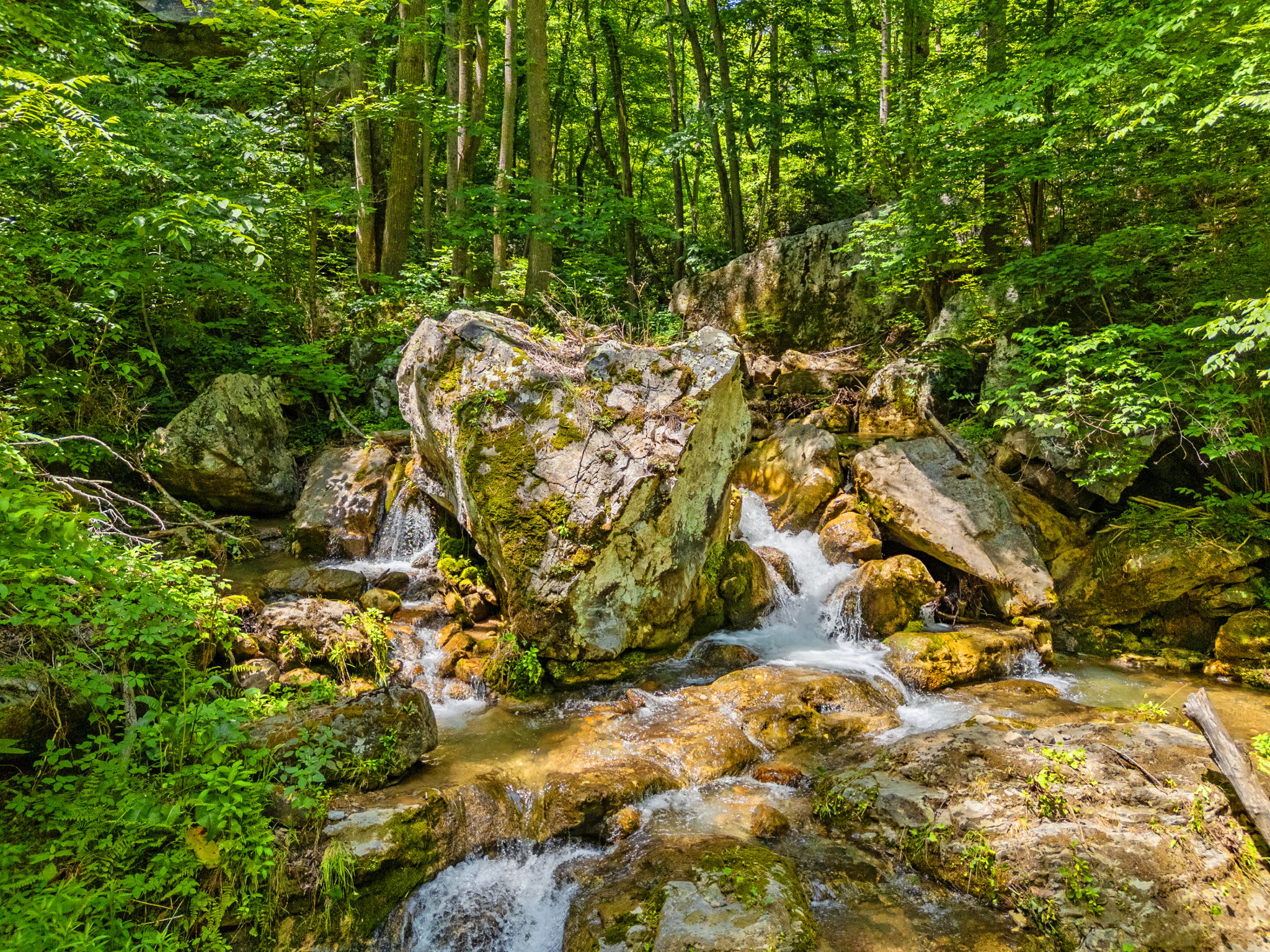 Secluded Retreat Endless Mtn Views, Rushing Stream