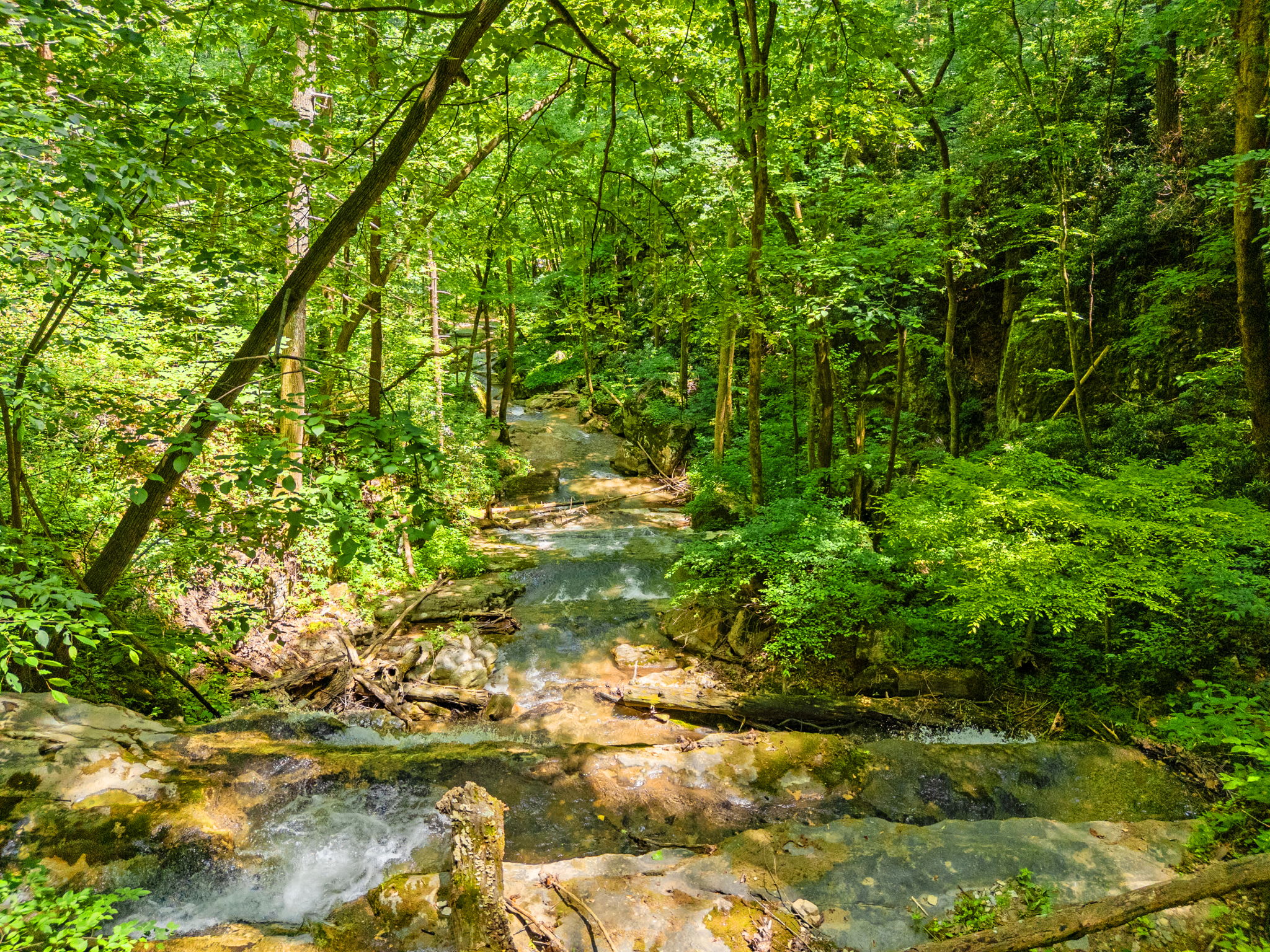 Secluded Retreat Endless Mtn Views, Rushing Stream
