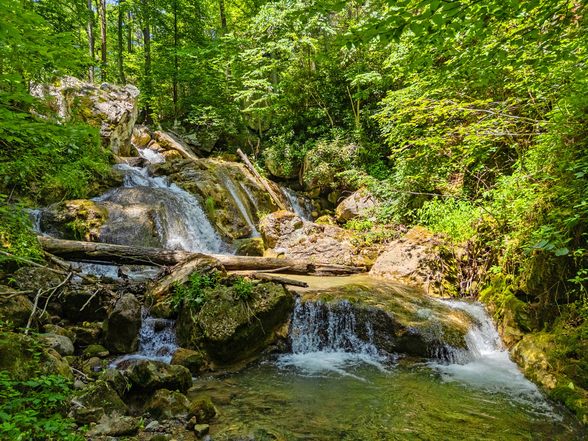 Secluded Retreat Endless Mtn Views, Rushing Stream