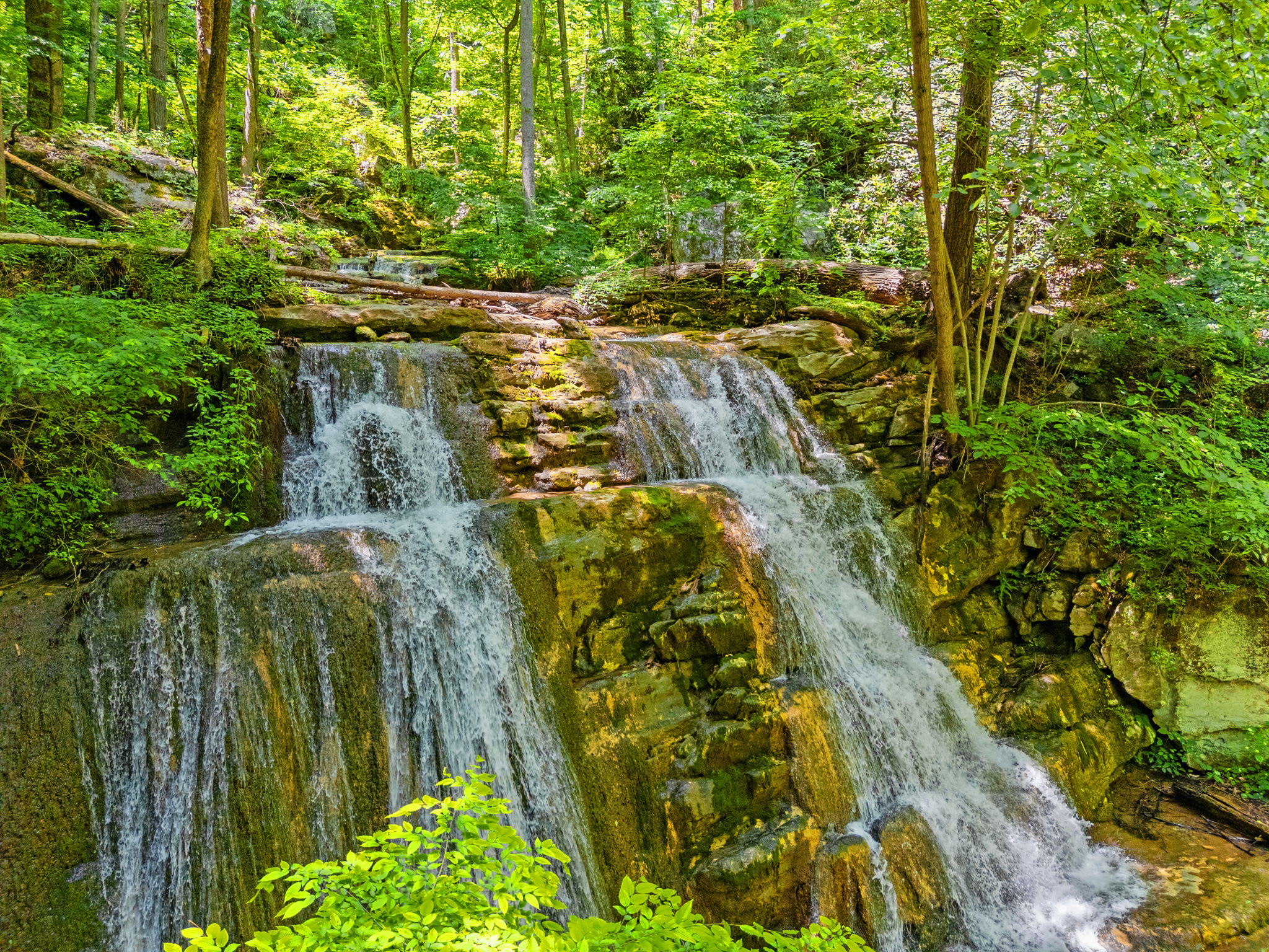 Secluded Retreat Endless Mtn Views, Rushing Stream