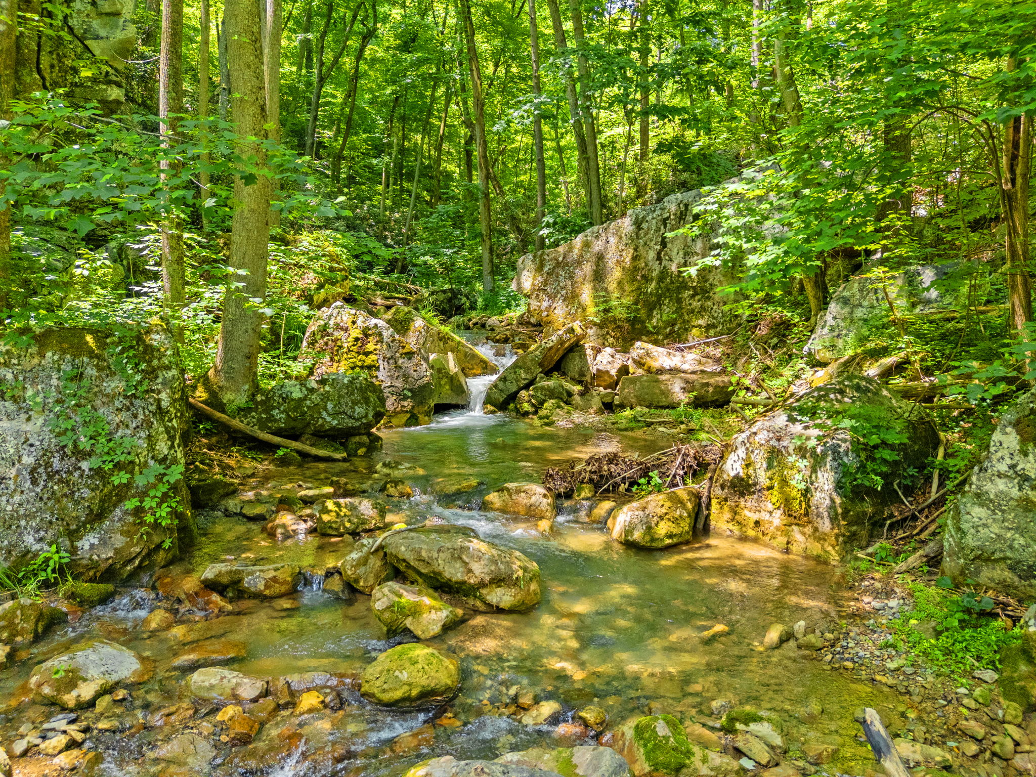 Secluded Retreat Endless Mtn Views, Rushing Stream