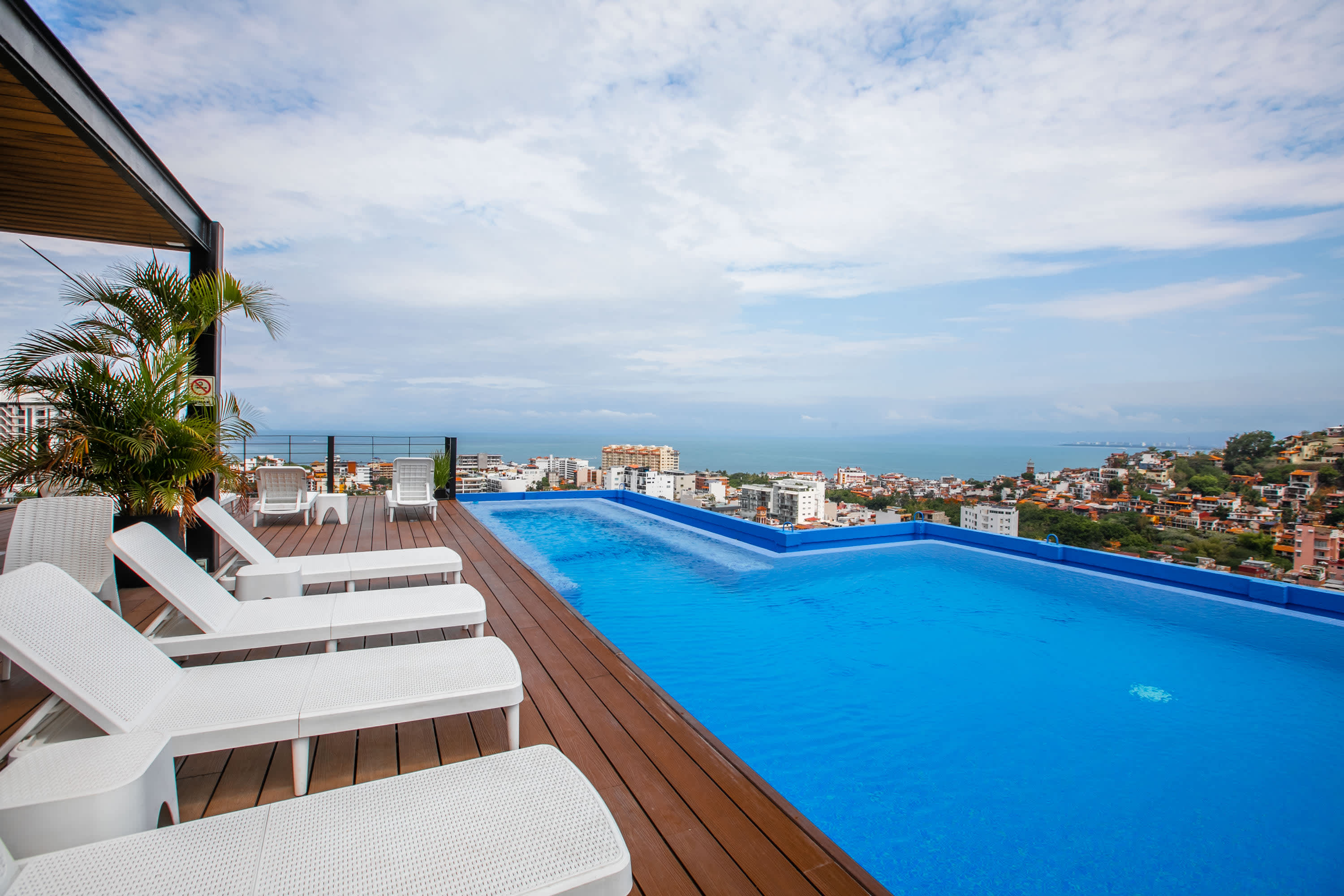 Palm on the Tree | Ocean Views • Luxury Living