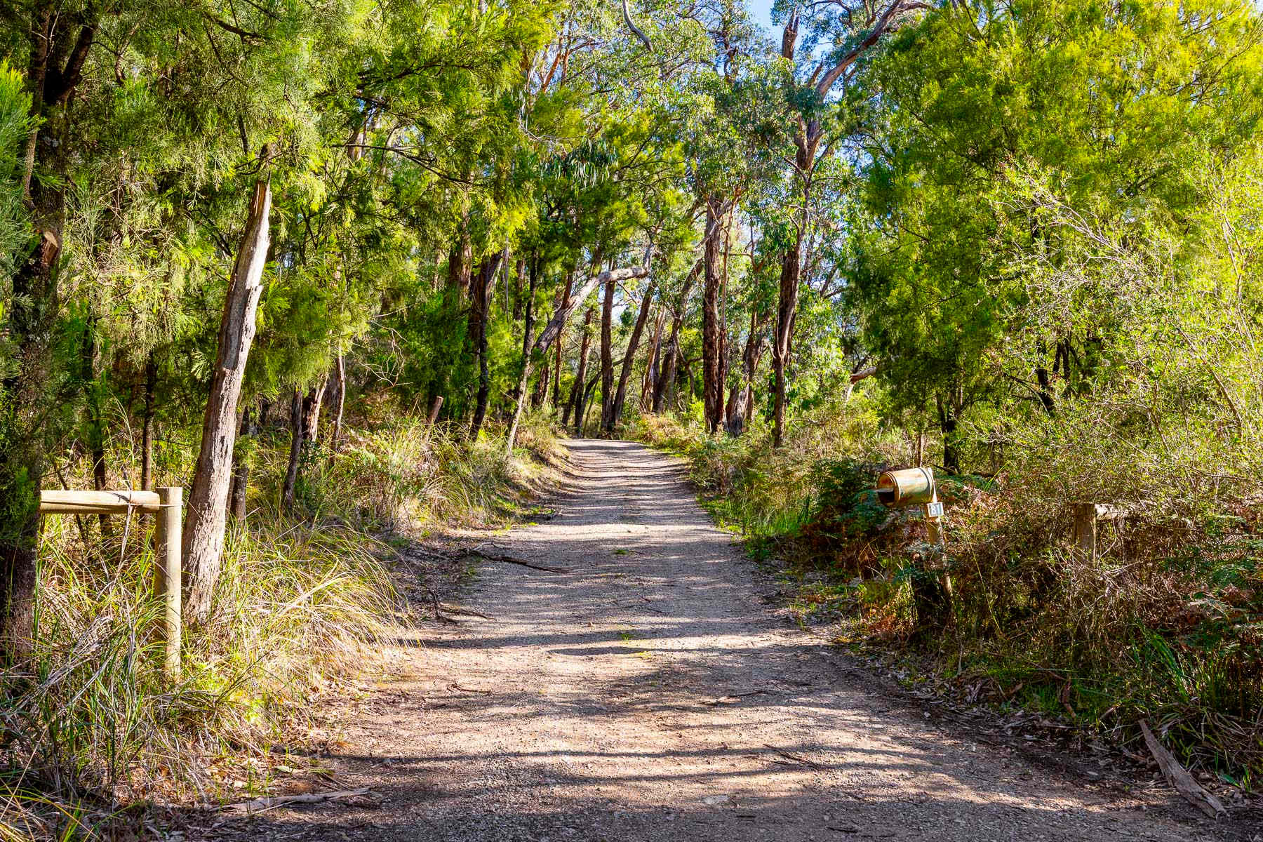 The driveway alone will slow your heartbeat
