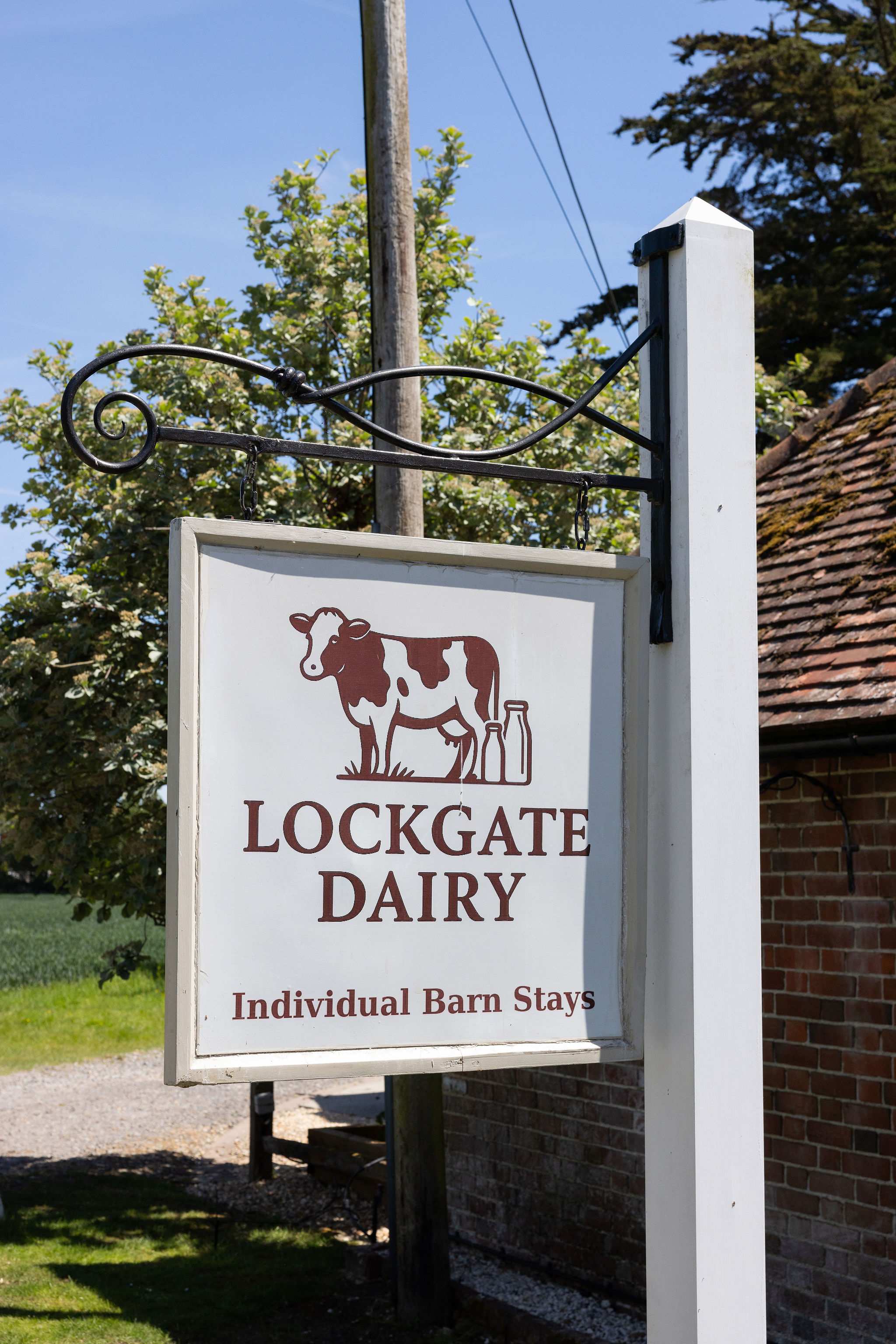 Welcome to The Dairy.