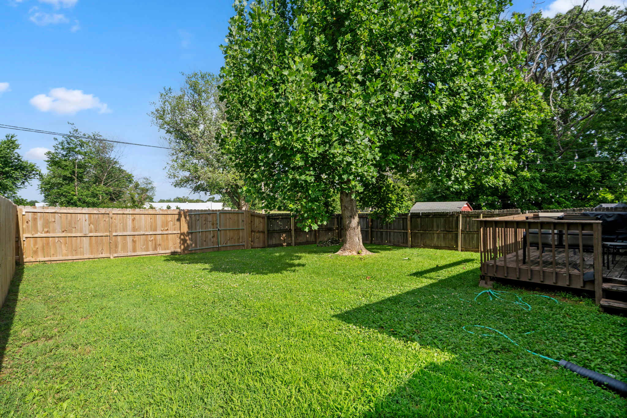 Fenced in Backyard