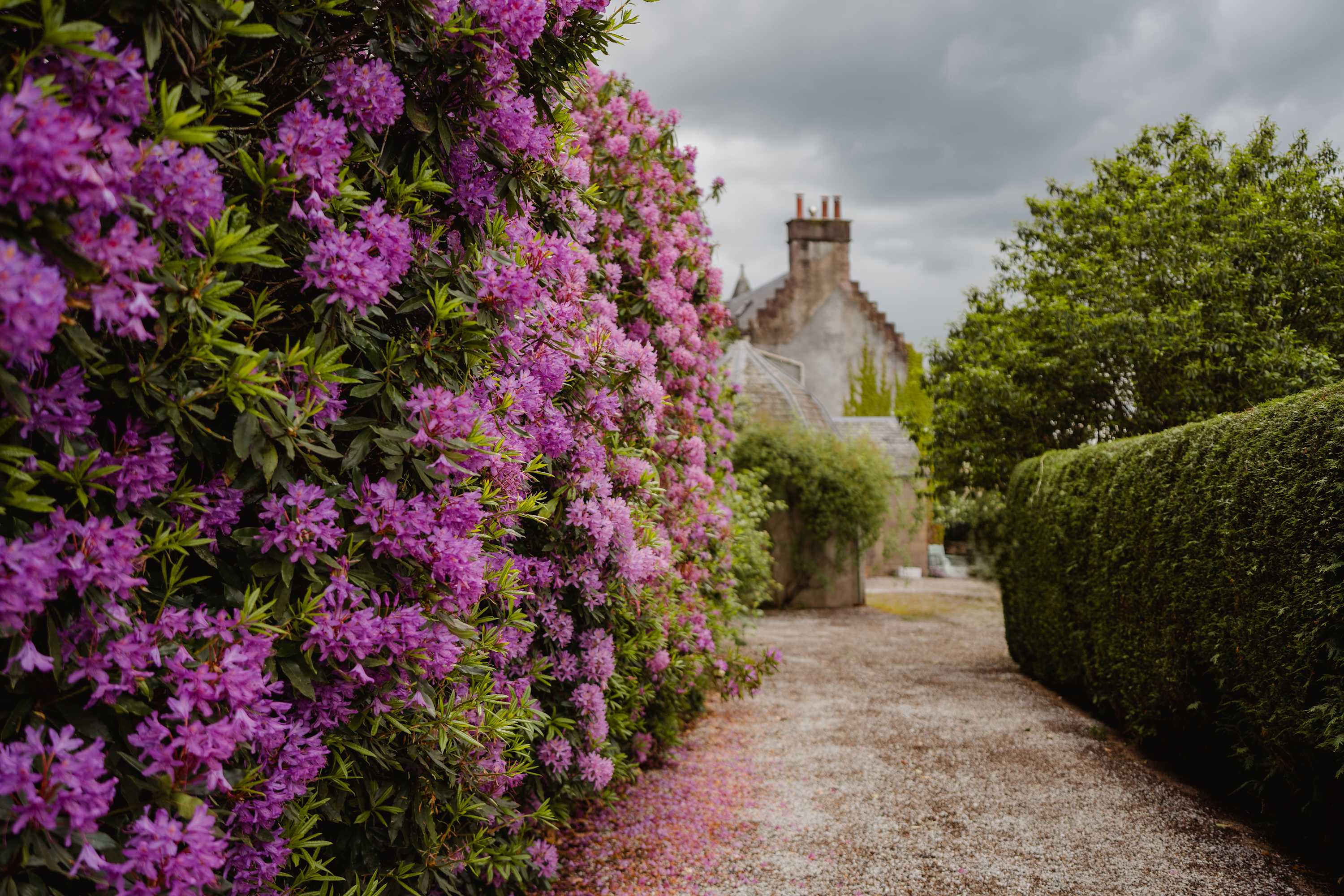 Historic Scottish Mansion with 3 acres & Sauna in Balhomie House, Cargill Perthshire PH2 6DS PH2 6DS - Property image 80 - VivreStays