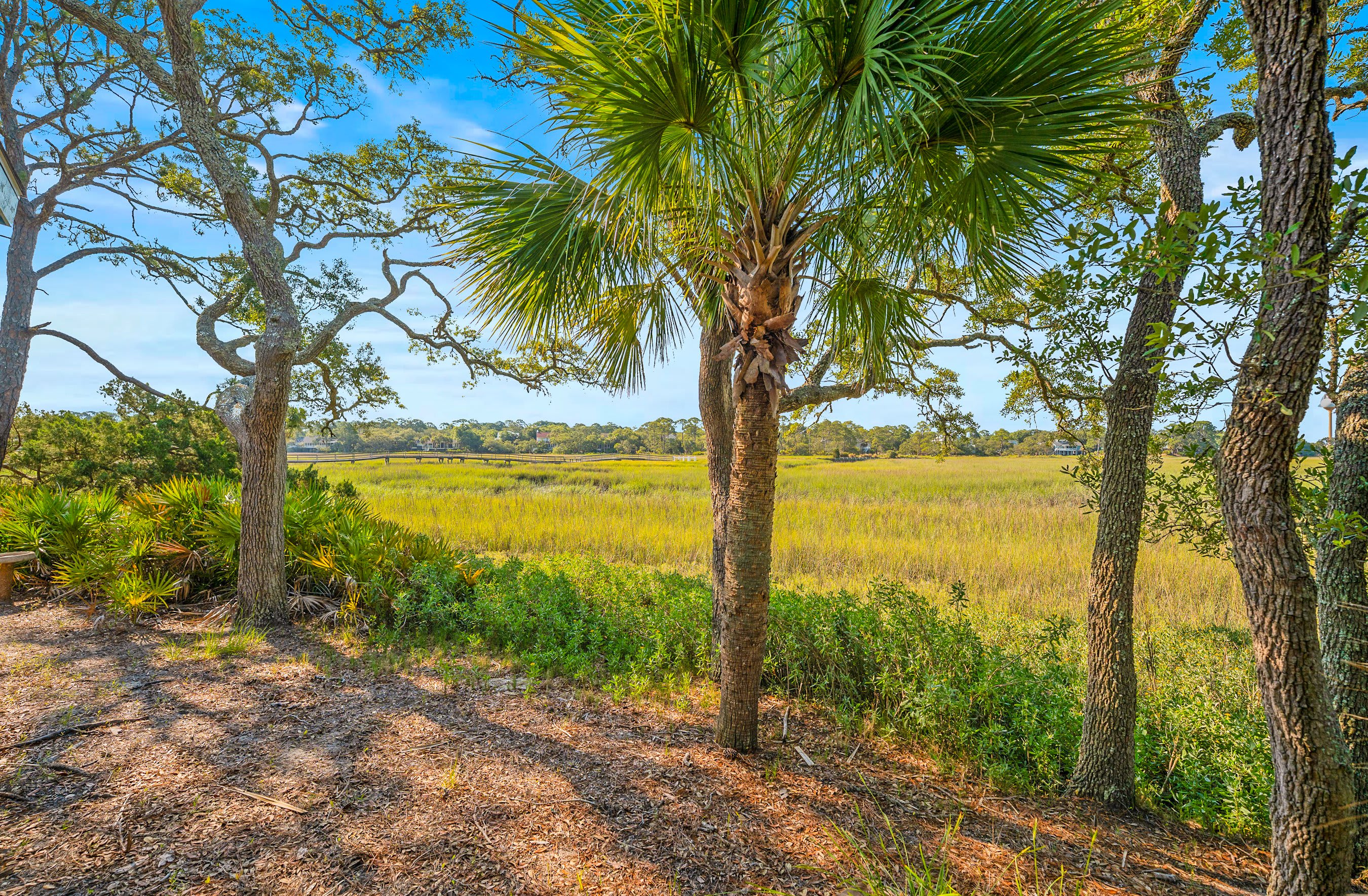 864 Sabal Court Beautiful Marsh Views | Photo 29