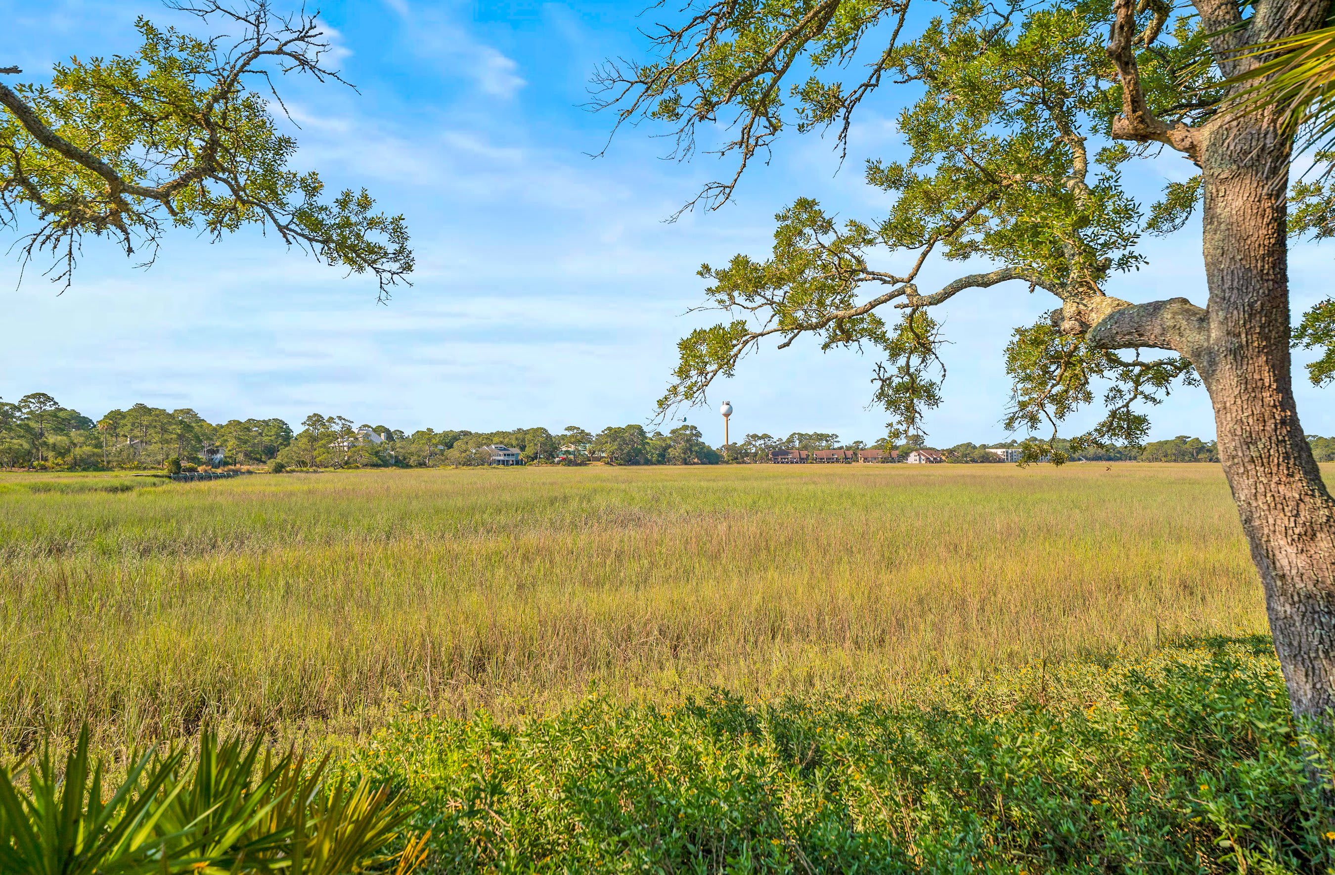 864 Sabal Court Beautiful Marsh Views | Photo 30