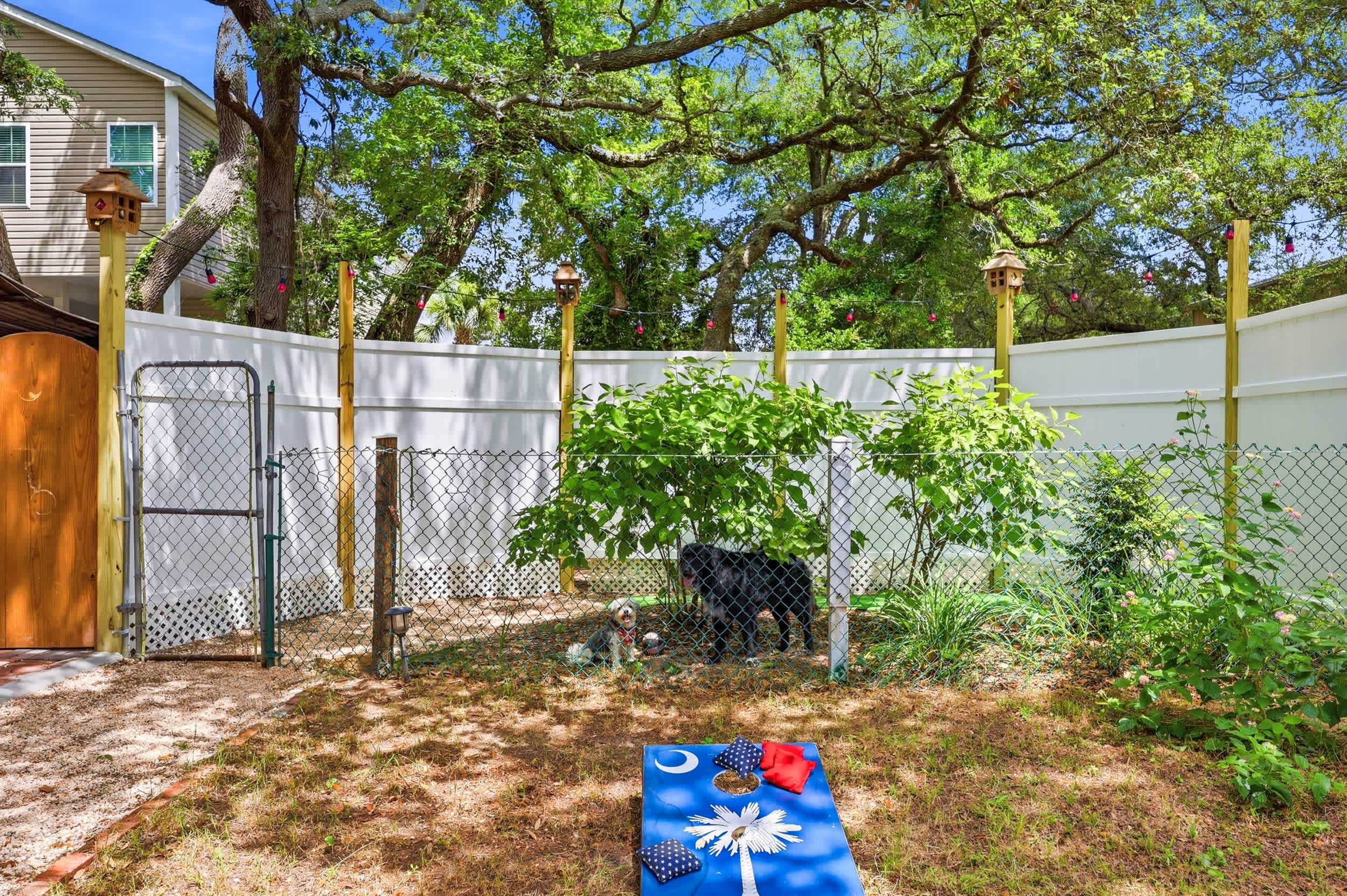Enclosed area for dogs and corn hole game