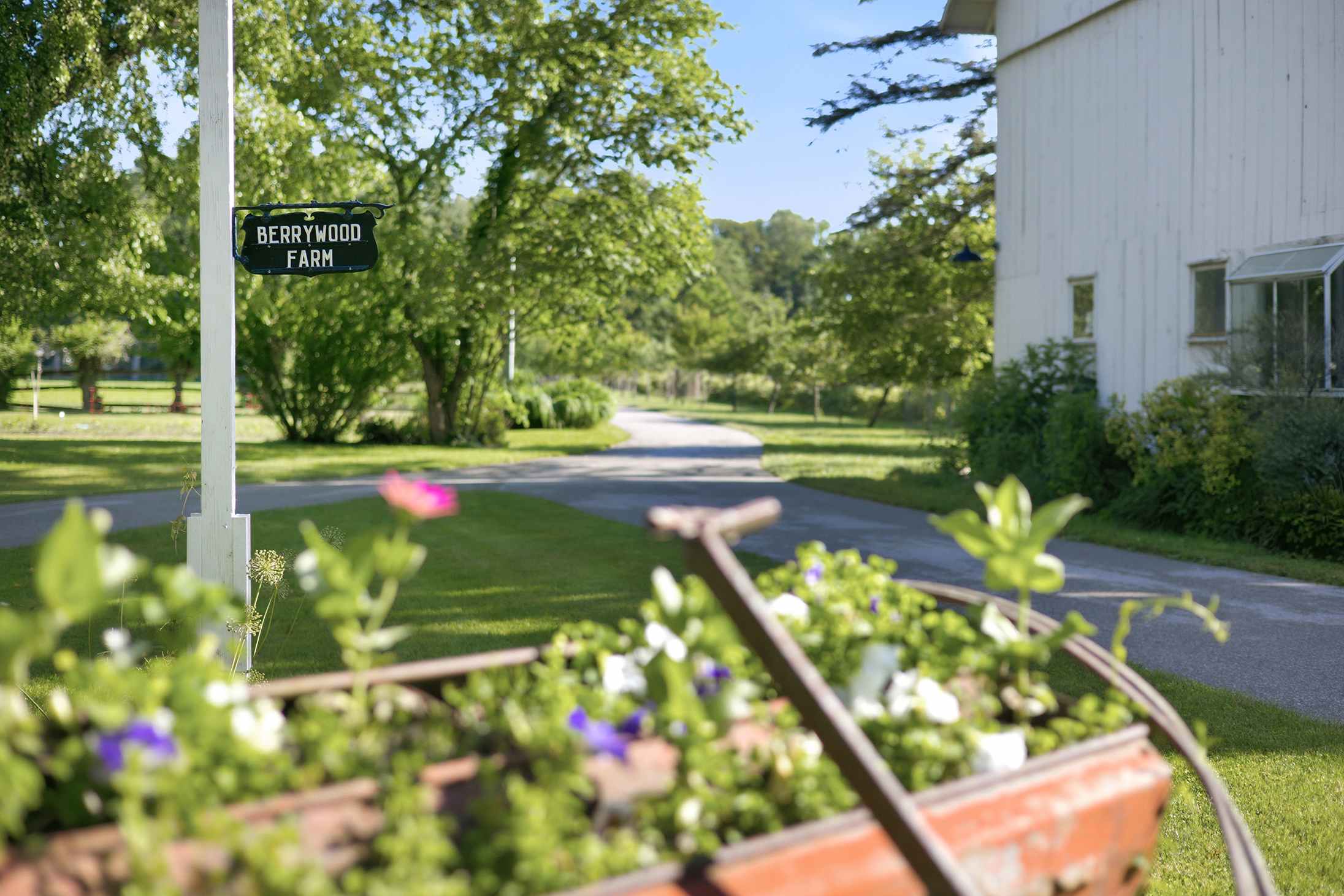 Featured Property Berrywood Farm