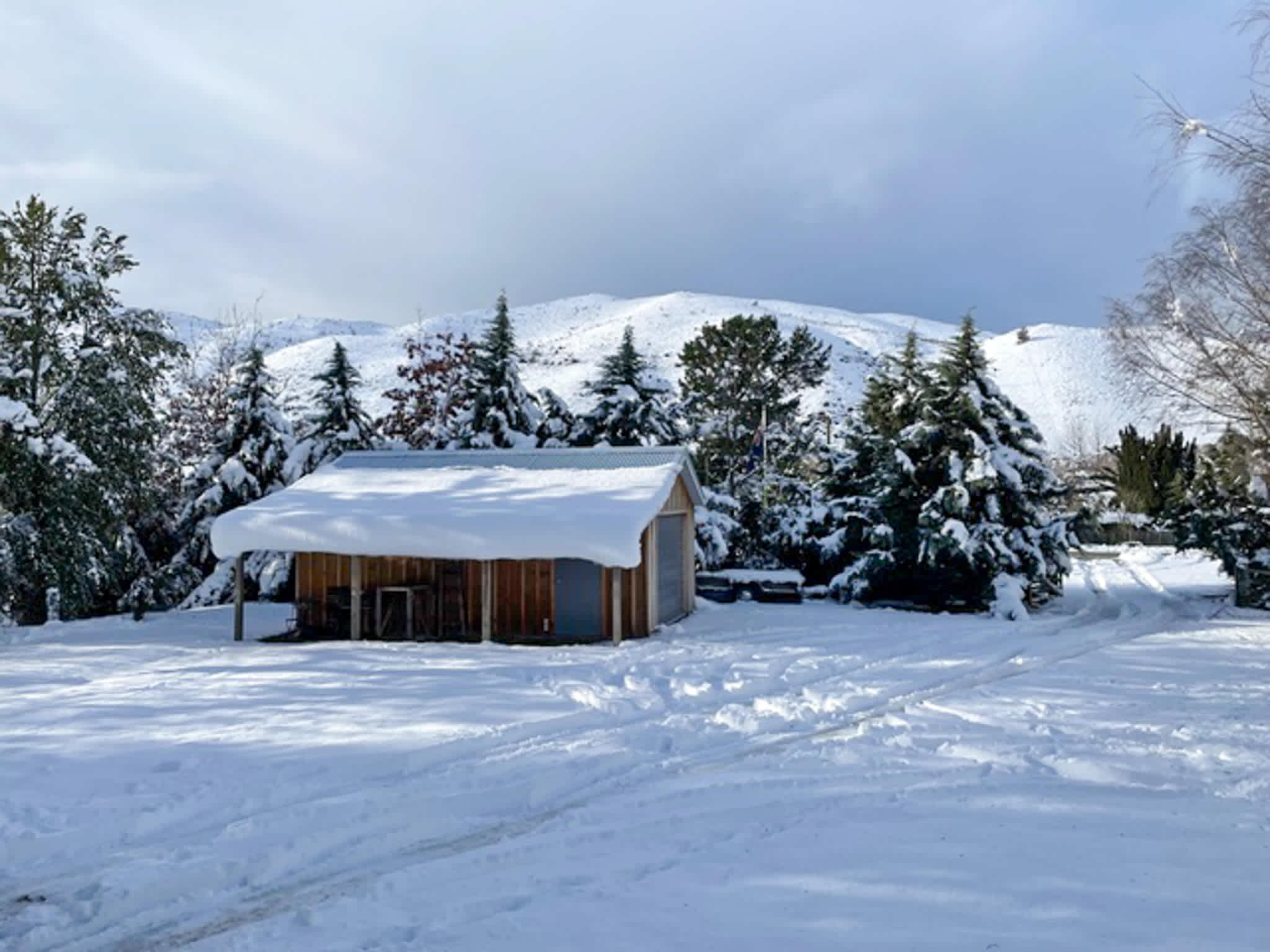 Wildwood Cottage | Cozy Secluded Stay